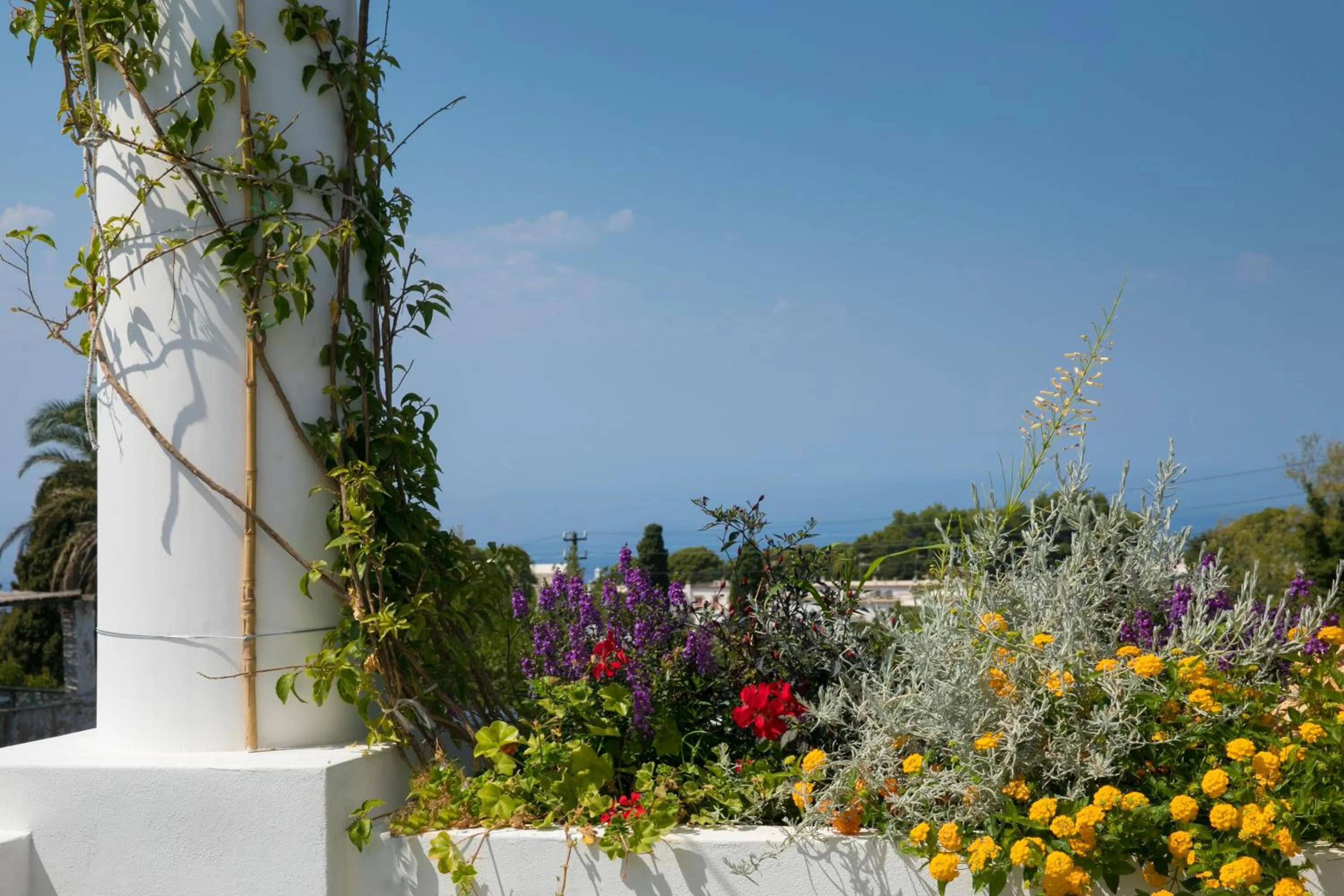 Day in Casa Cristina