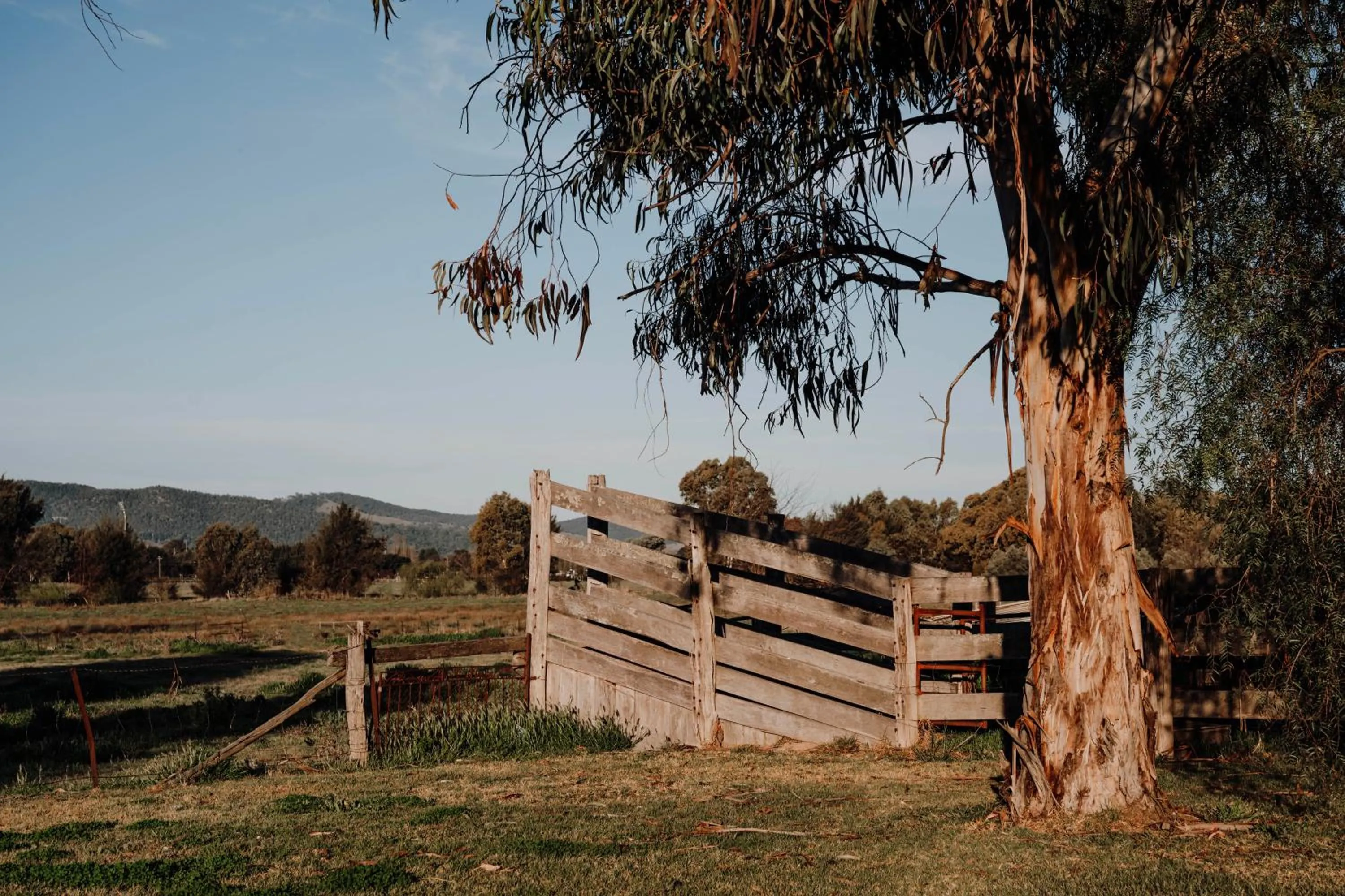 Garden in The Cudgee at Mudgee