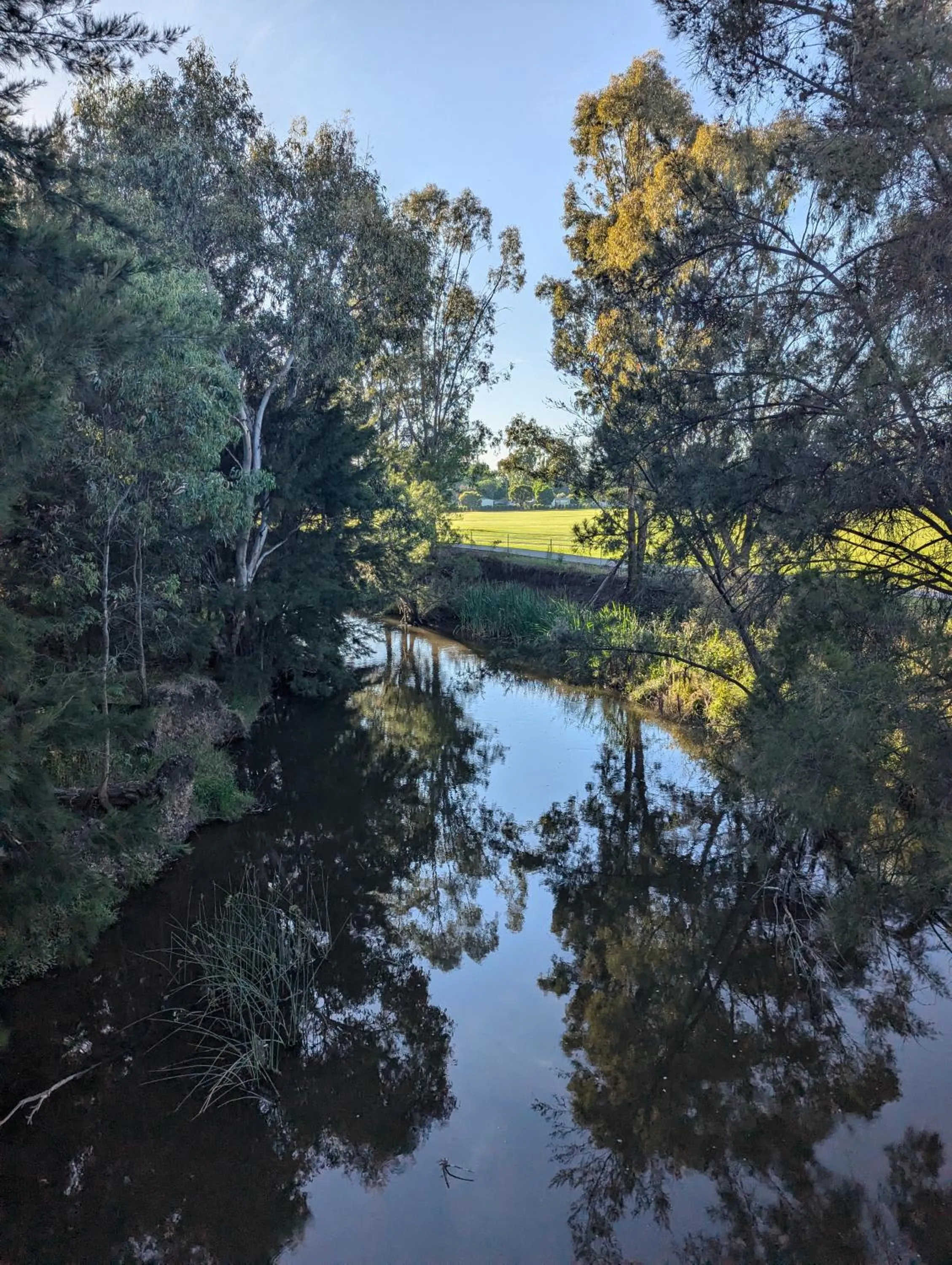 Nearby landmark in The Cudgee at Mudgee