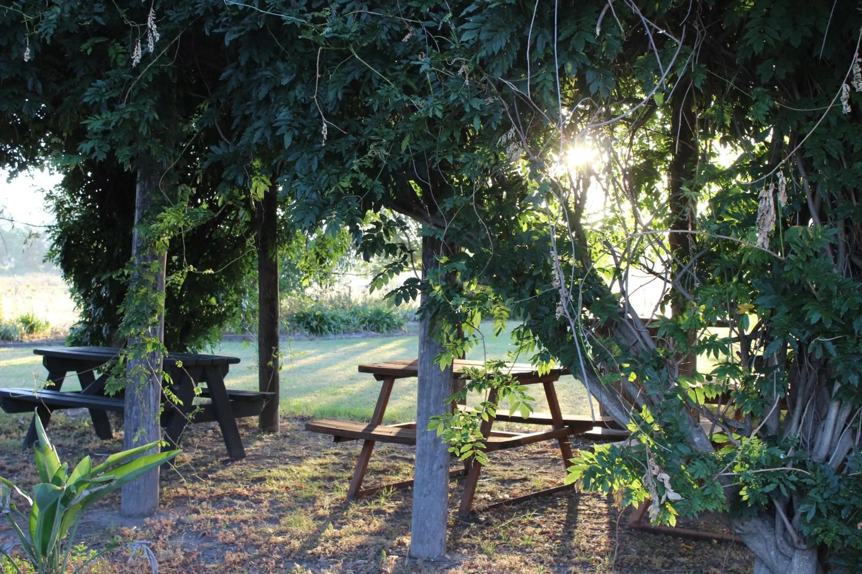 Garden in The Cudgee at Mudgee