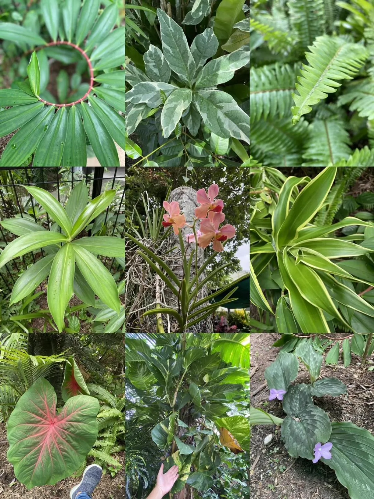 Spring in Reef Gateway Apartments