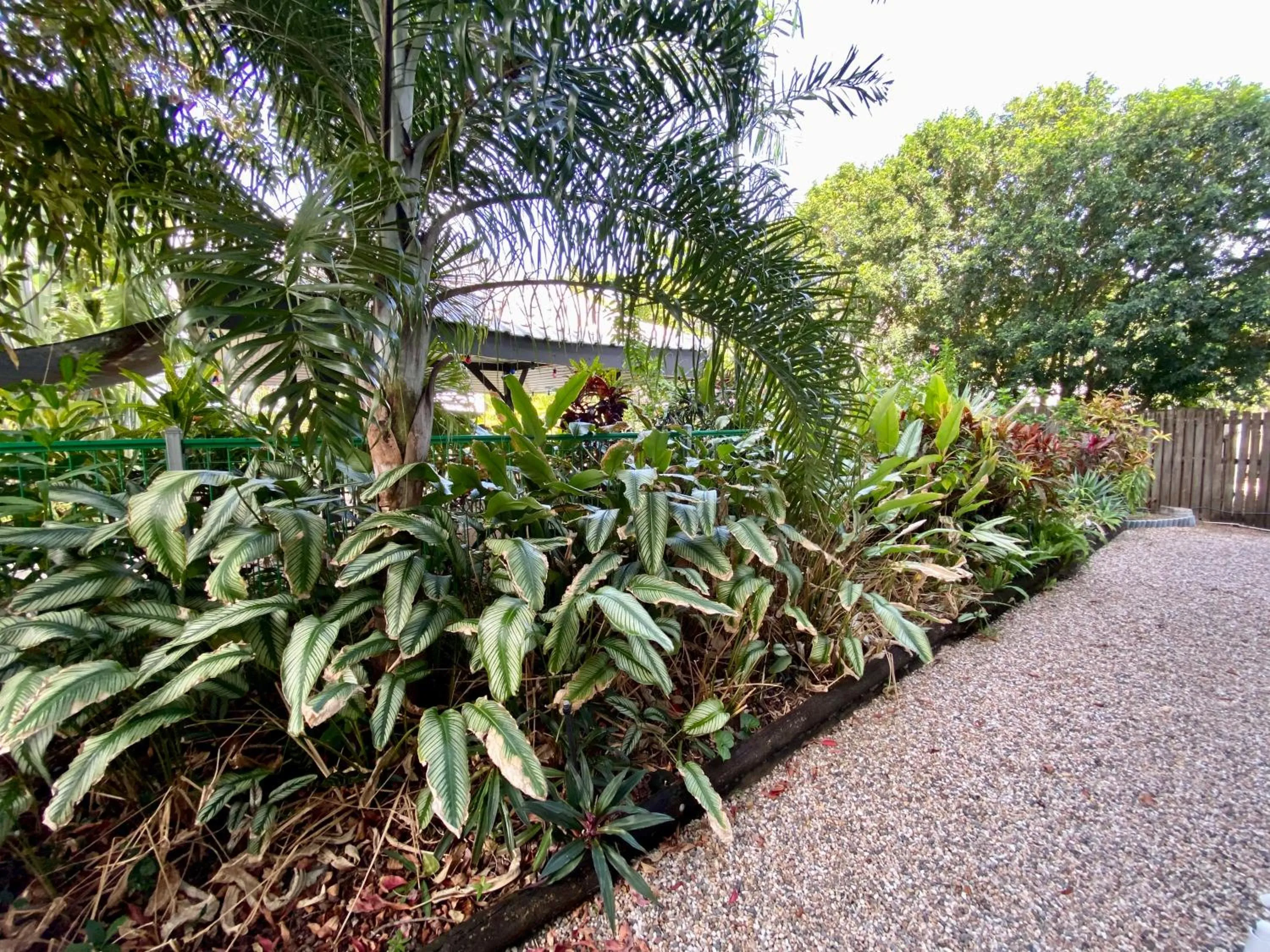 Spring in Reef Gateway Apartments