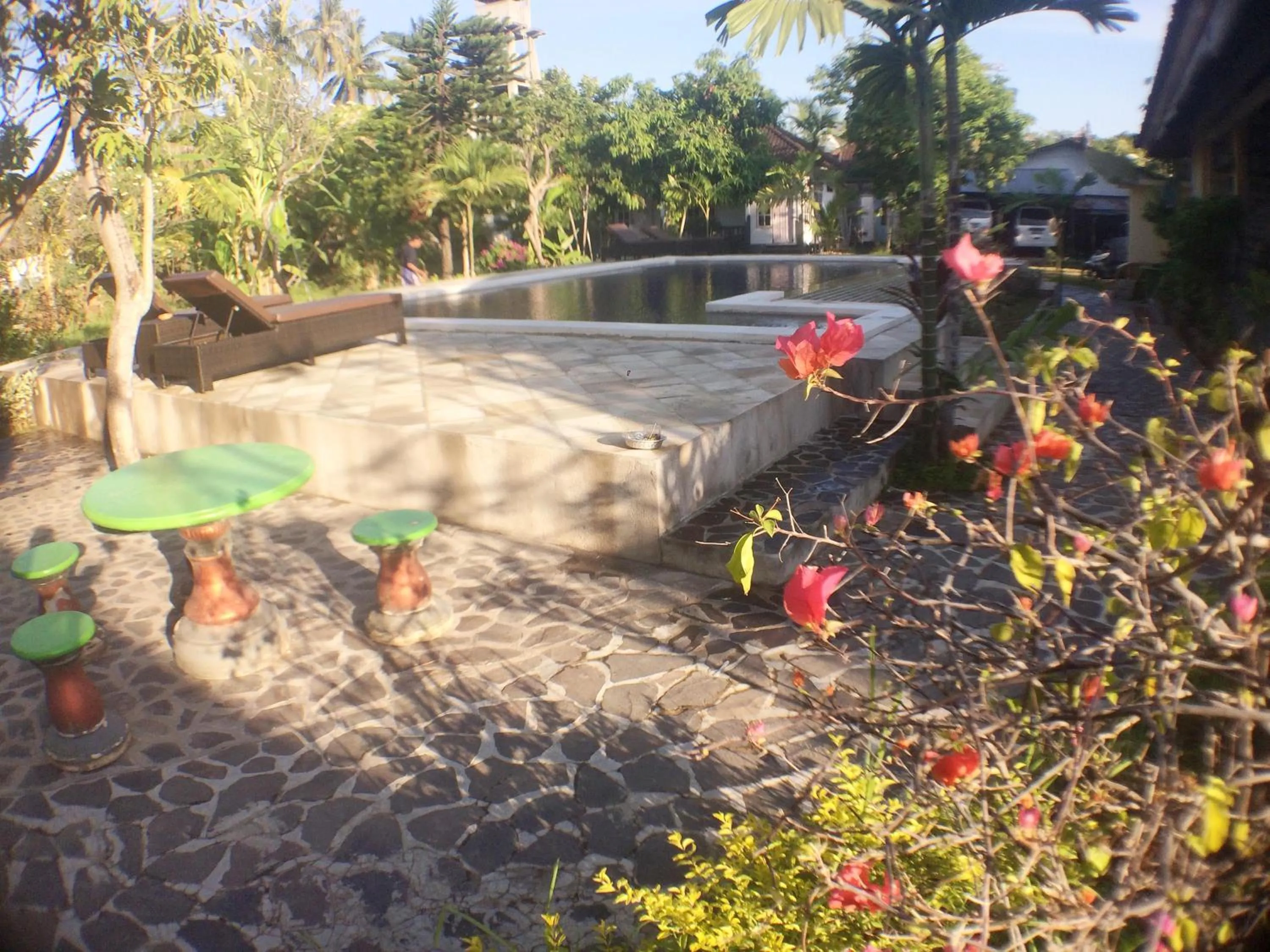 Swimming pool in Taman Lily's Hotel