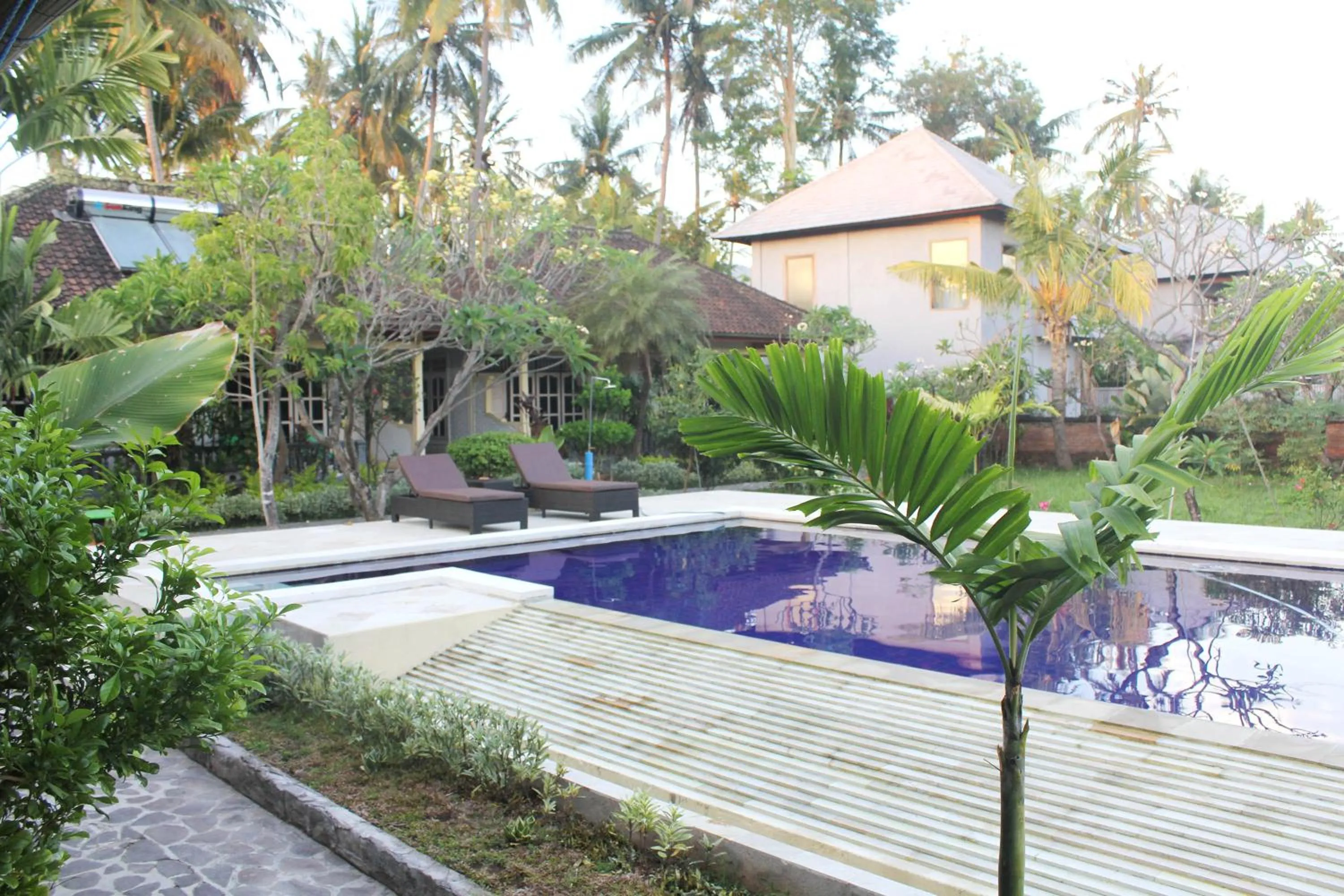 Pool view in Taman Lily's Hotel