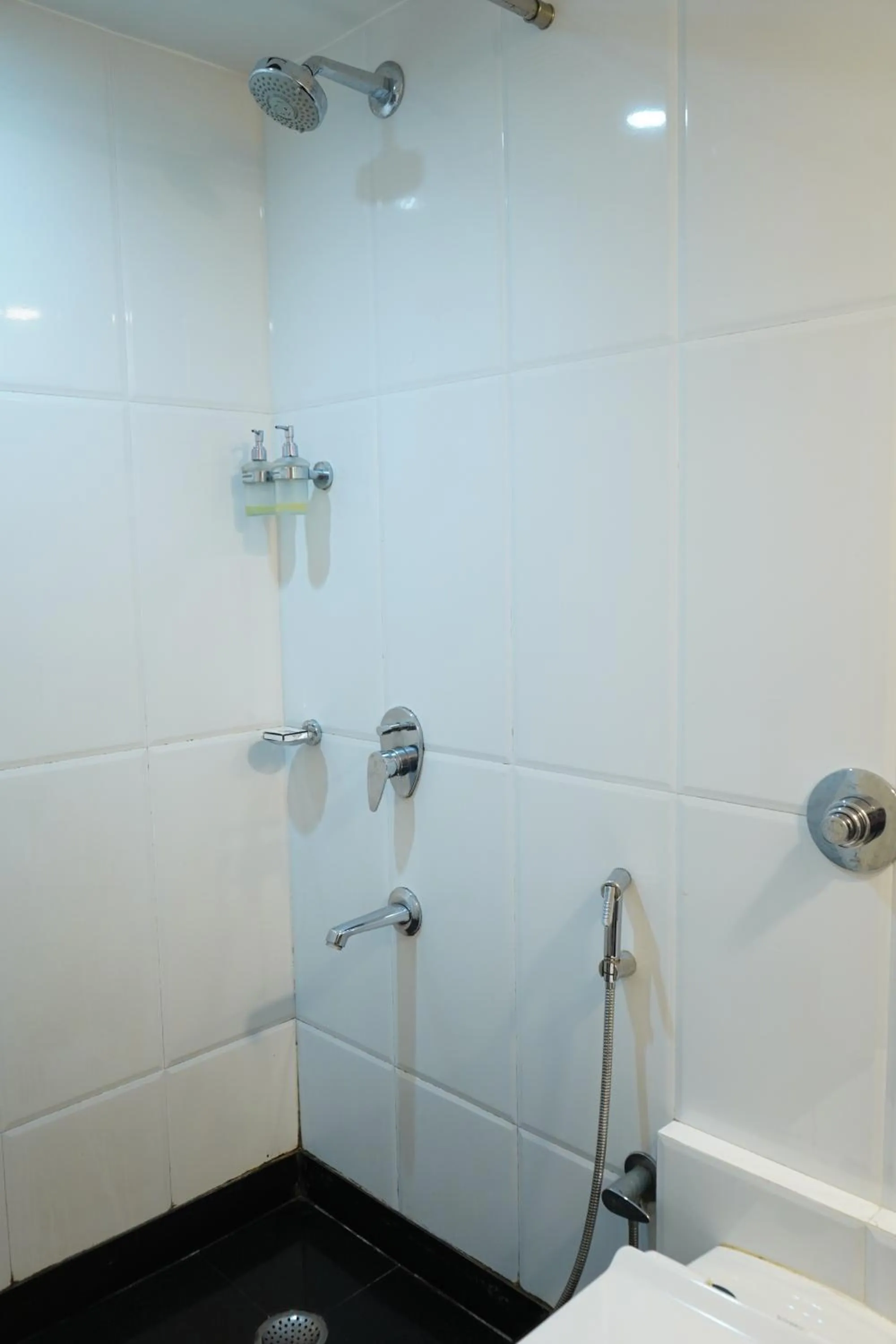 Bathroom in Hotel Diplomat, Colaba