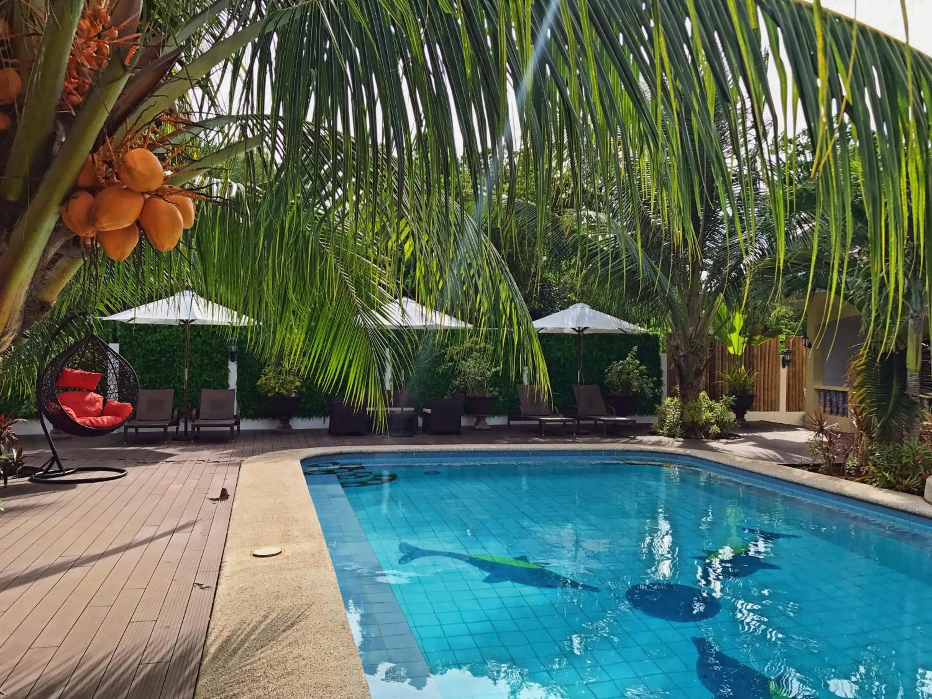 Swimming pool in Nora's Place