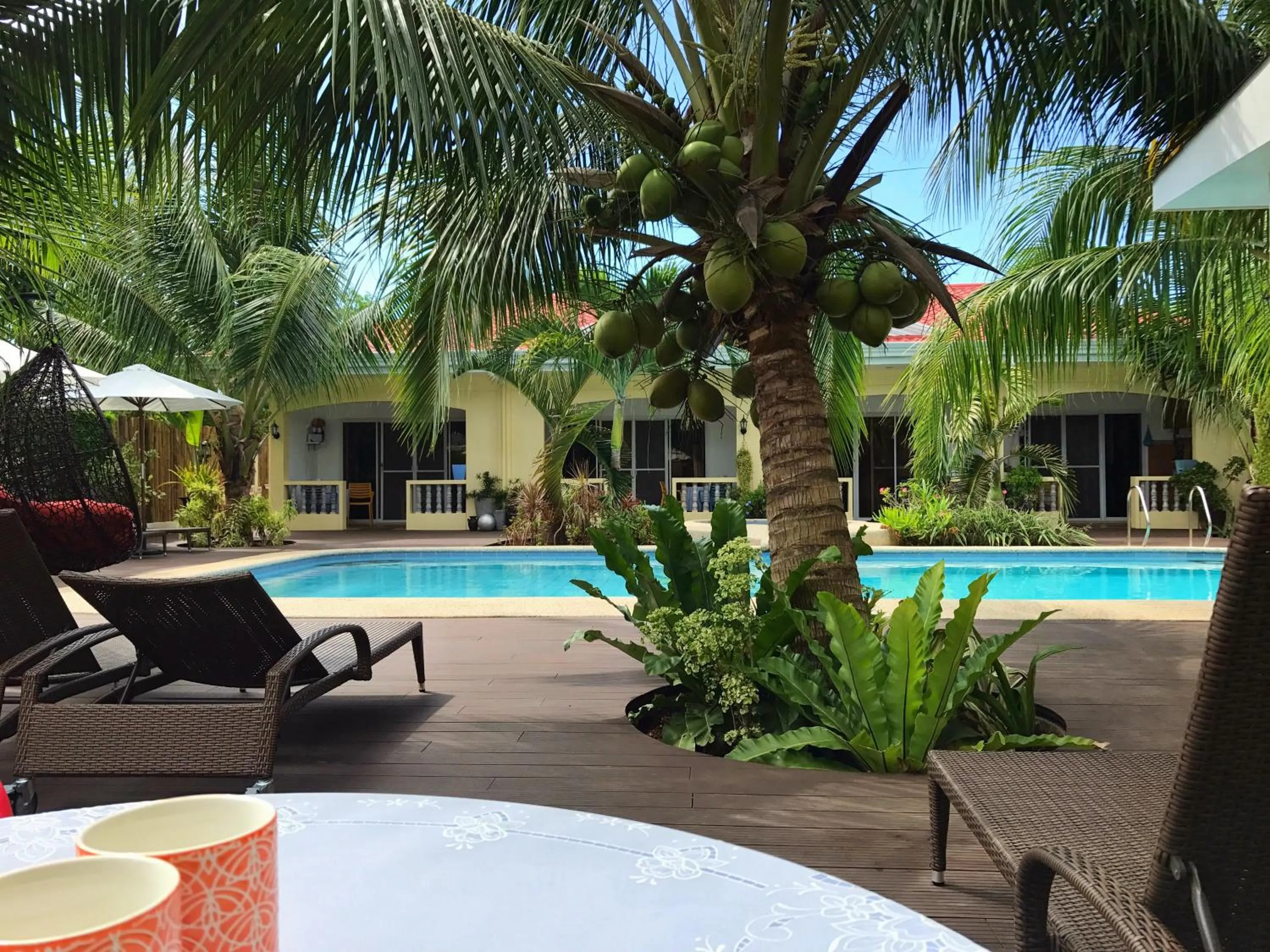 Pool view in Nora's Place