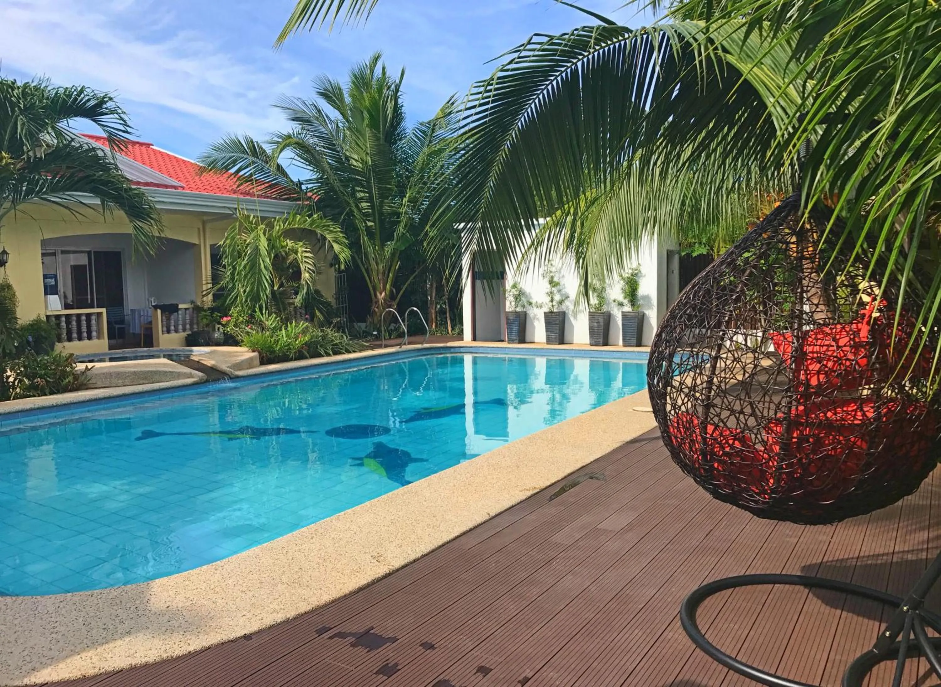 Swimming pool in Nora's Place