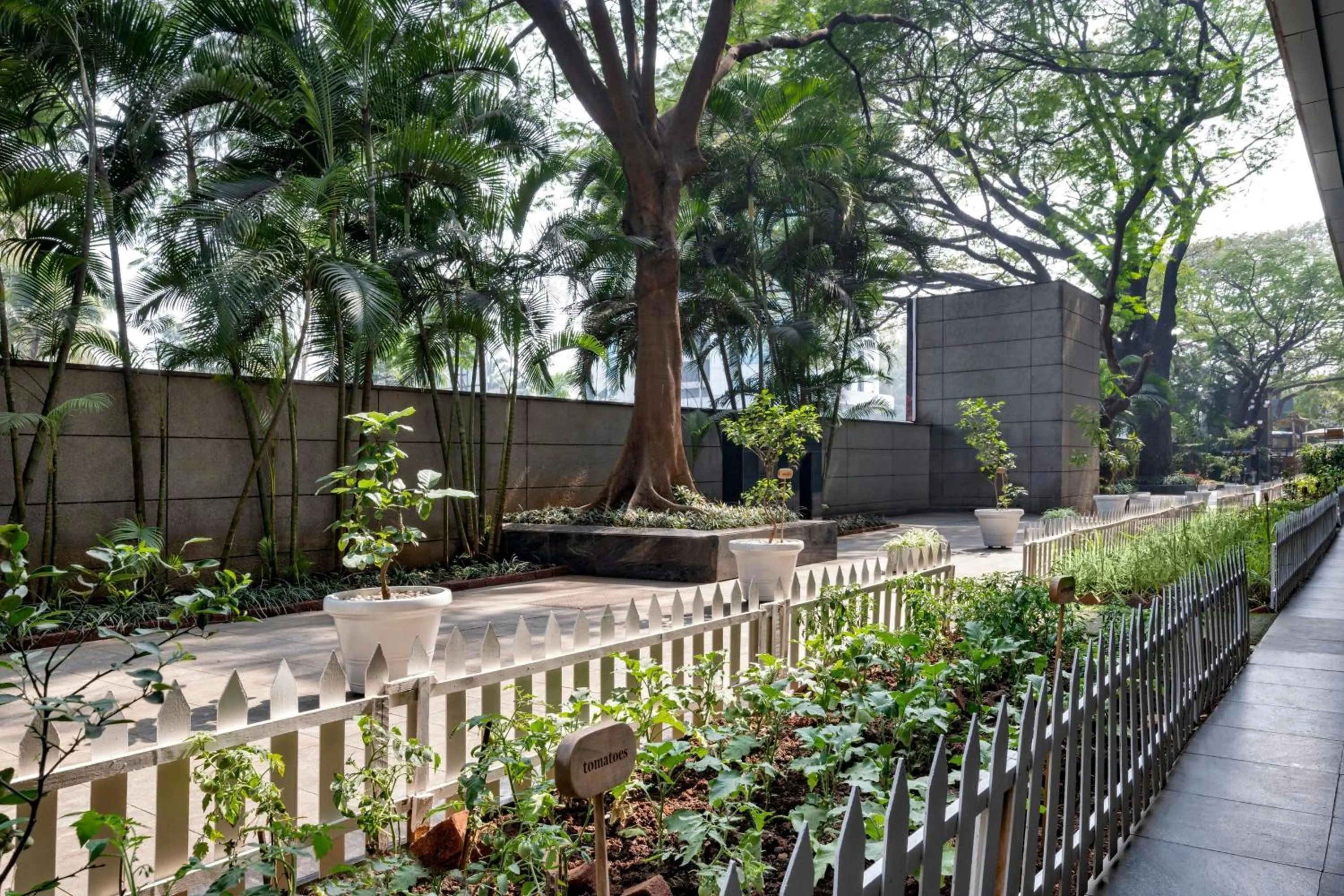 Other in JW Marriott Pune