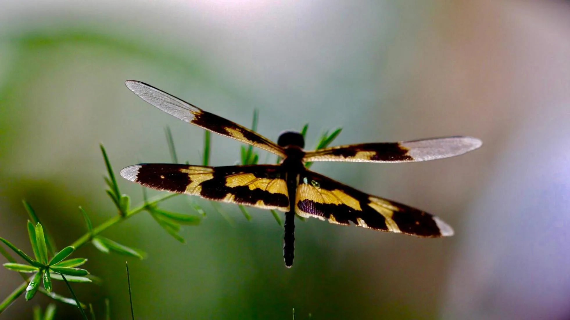 Long Life Riverside Hotel