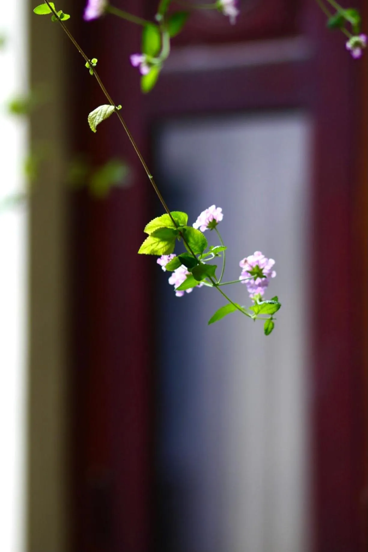 Long Life Riverside Hotel