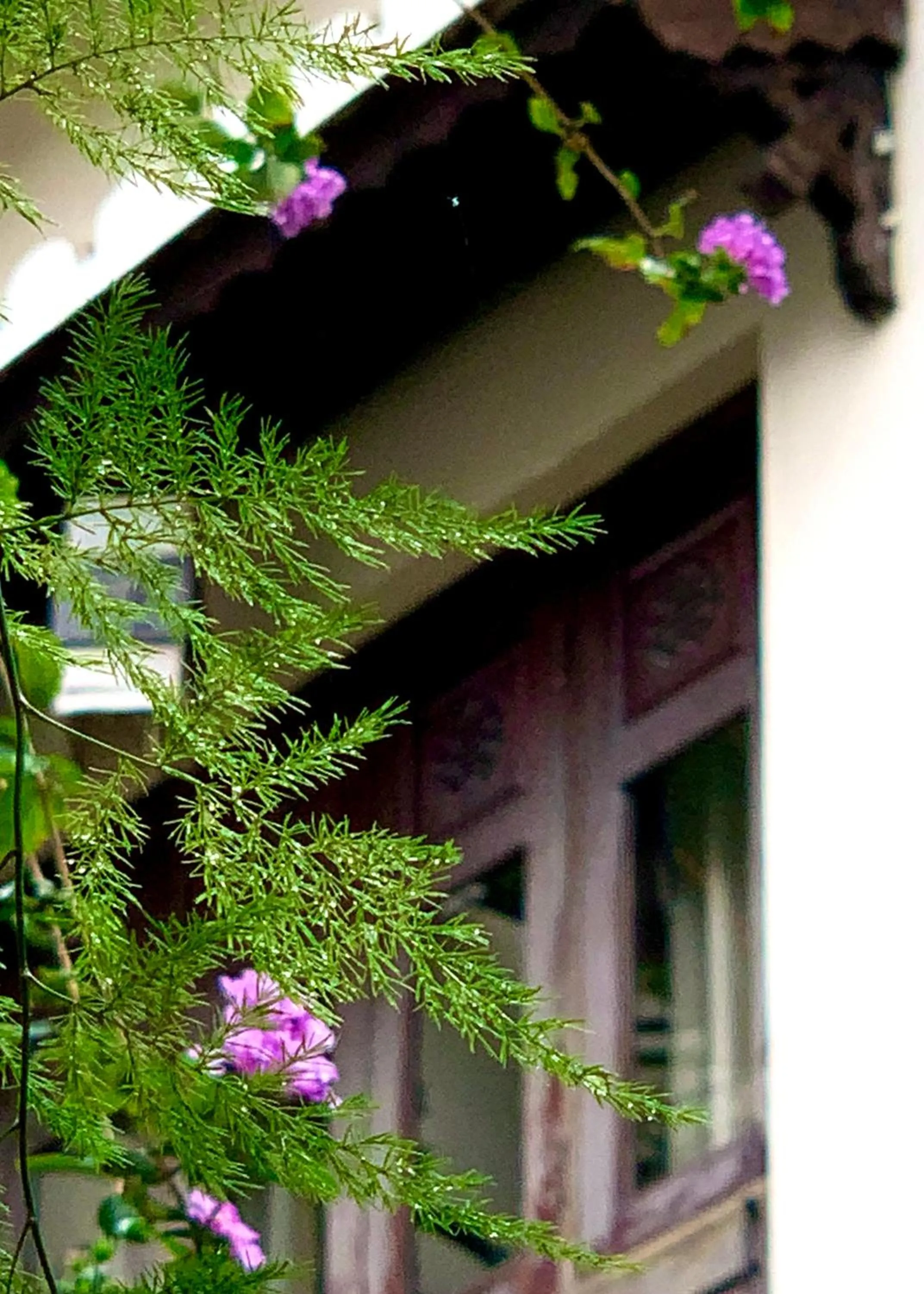 Long Life Riverside Hotel