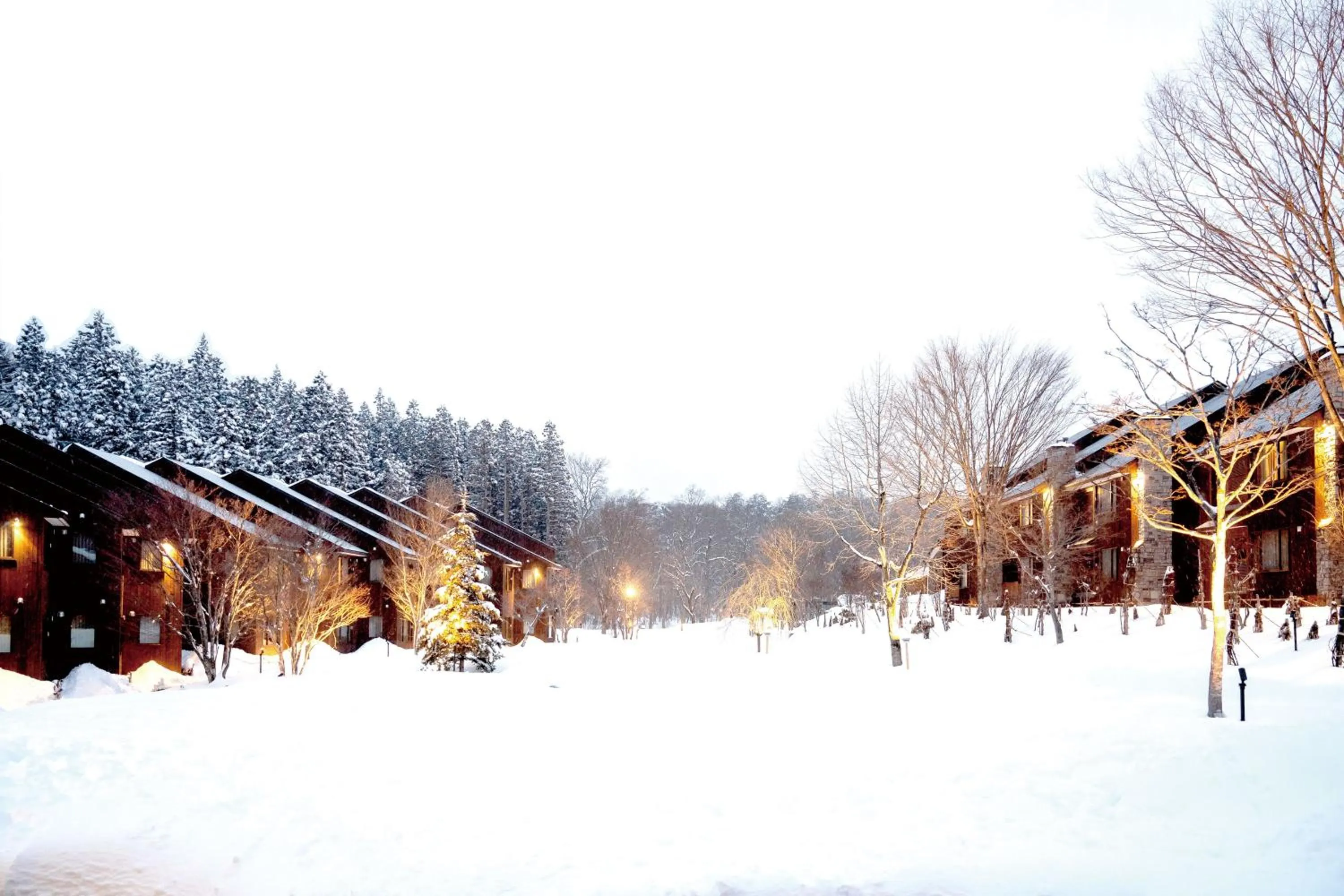 Day in Hotel Sierra Resort Hakuba