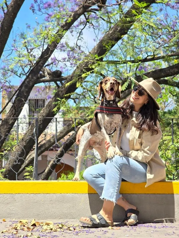 pet friendly in Agrado Guest House