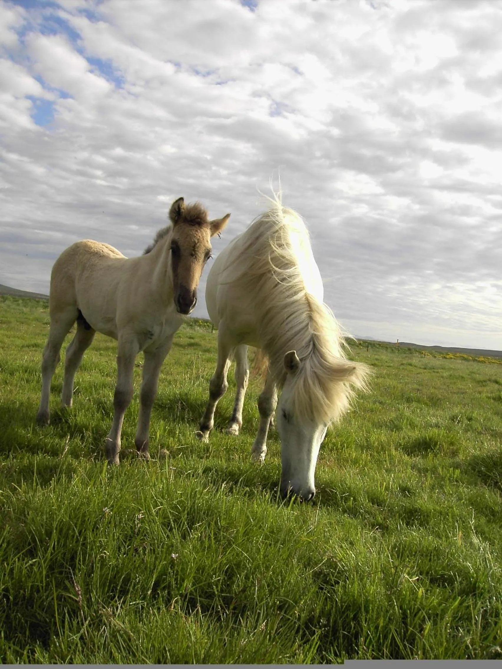 Other in Fosshotel Hellnar