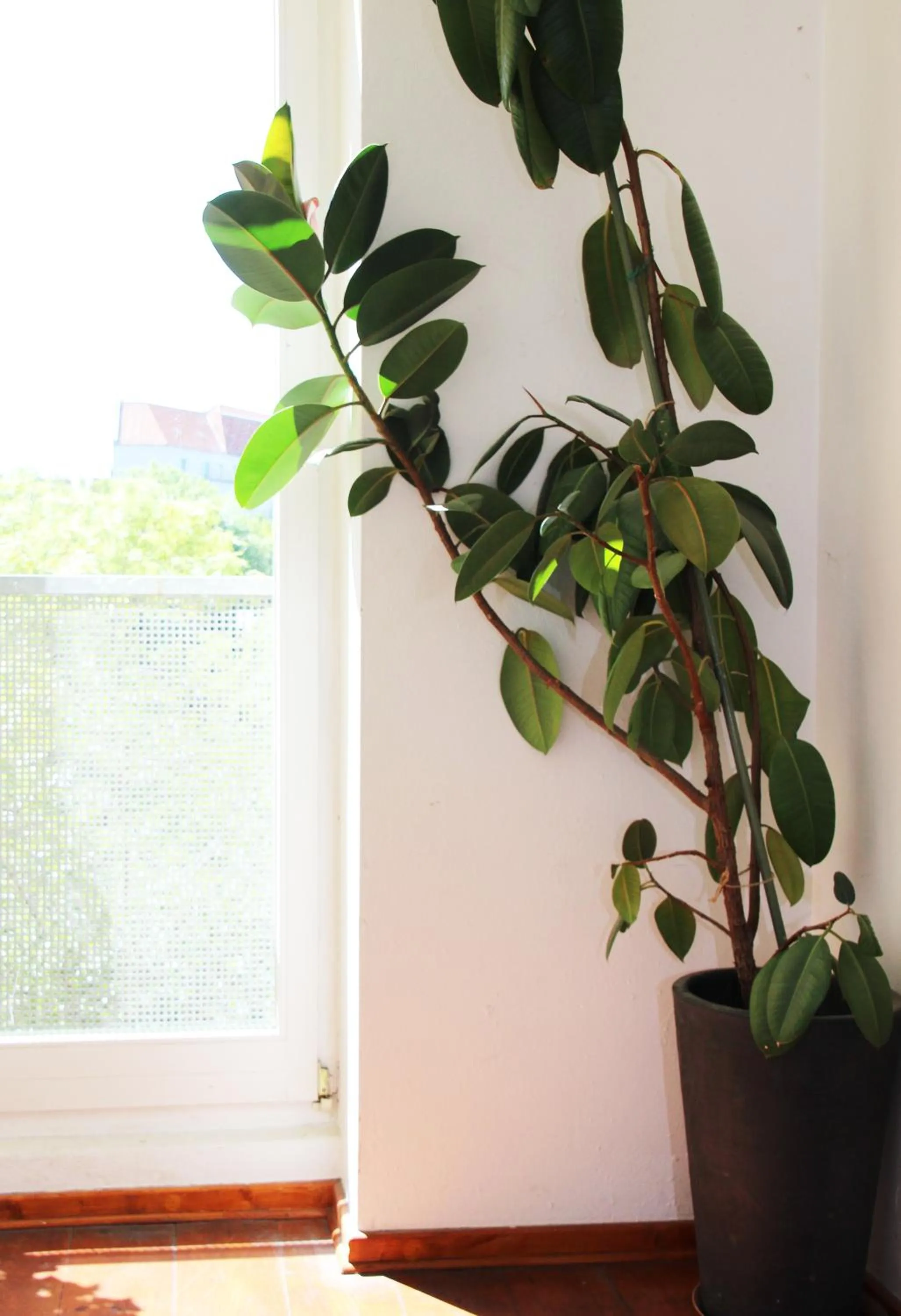 Jugendhotel BerlinCity