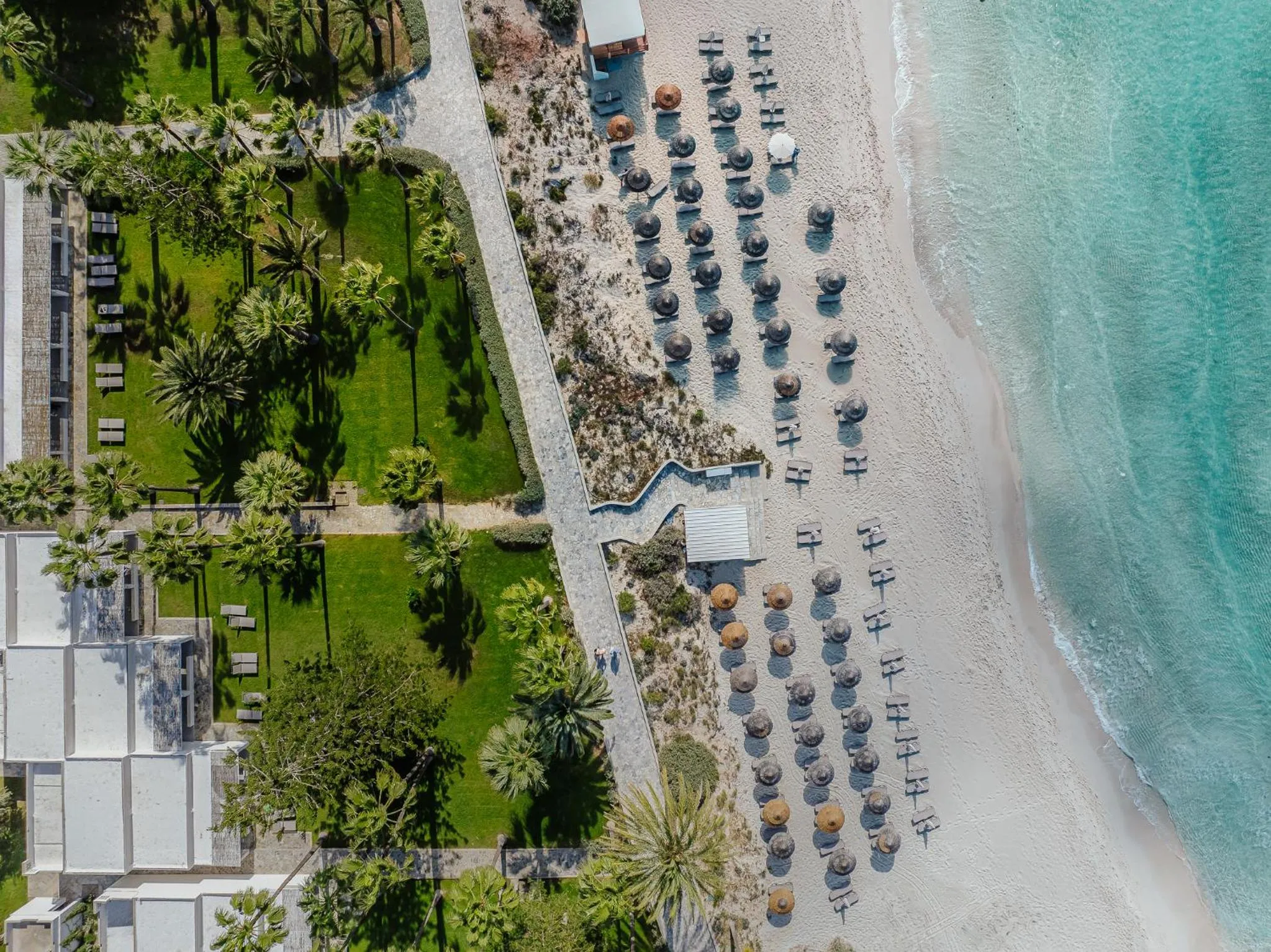 Day in Nissi Beach Resort