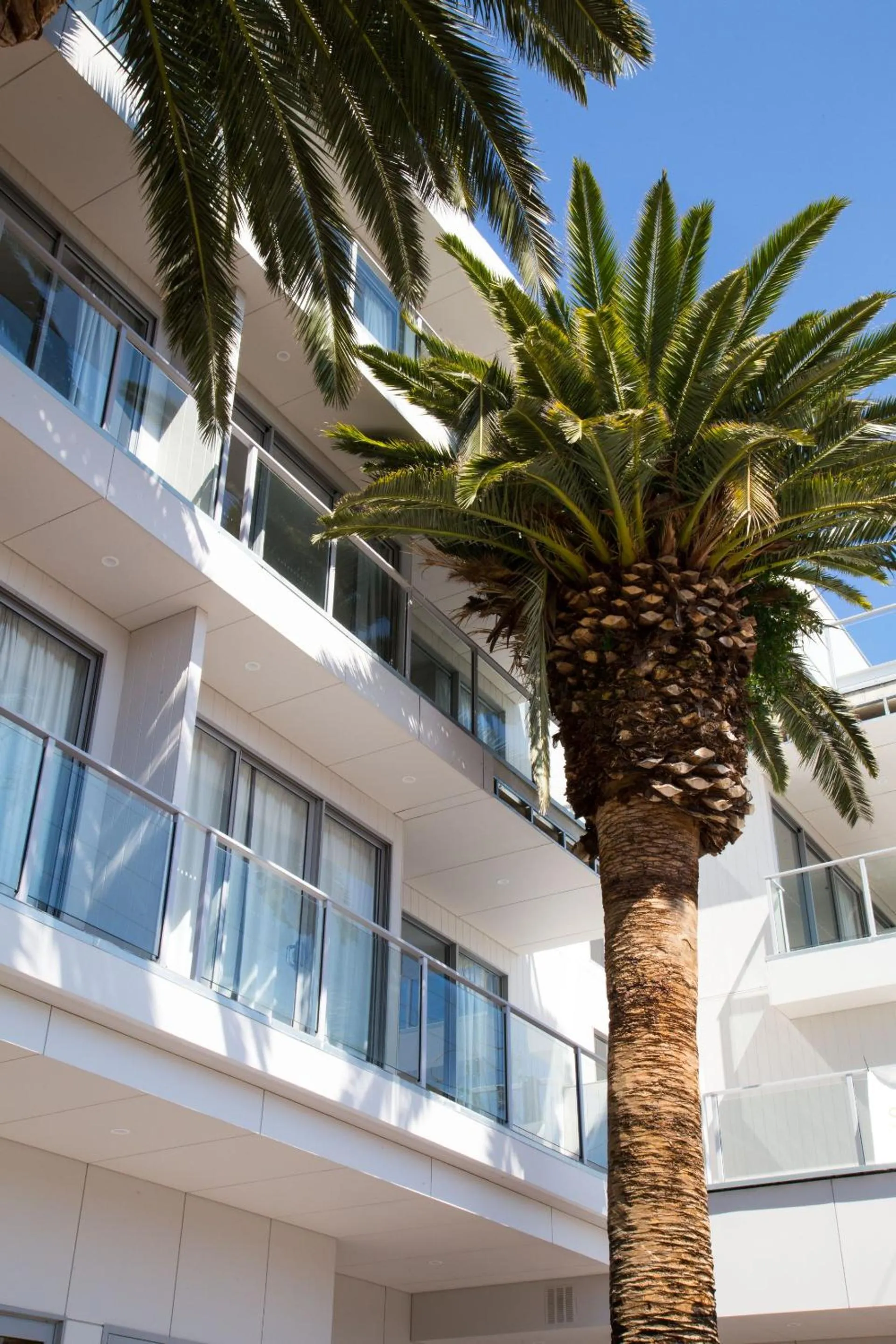 Facade/entrance in The Palms Apartments
