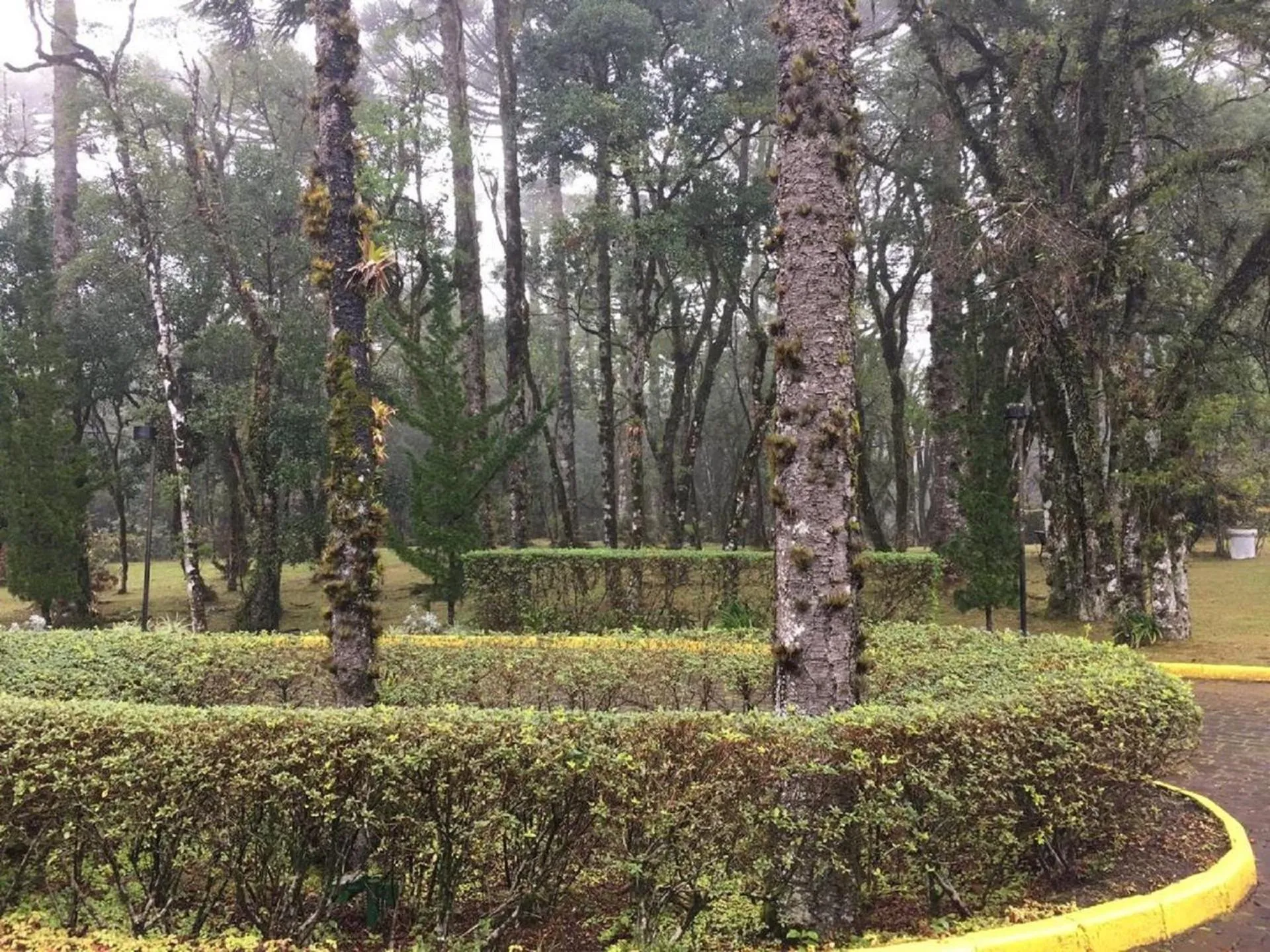 Natural landscape in Flat Luxo Mountain Village