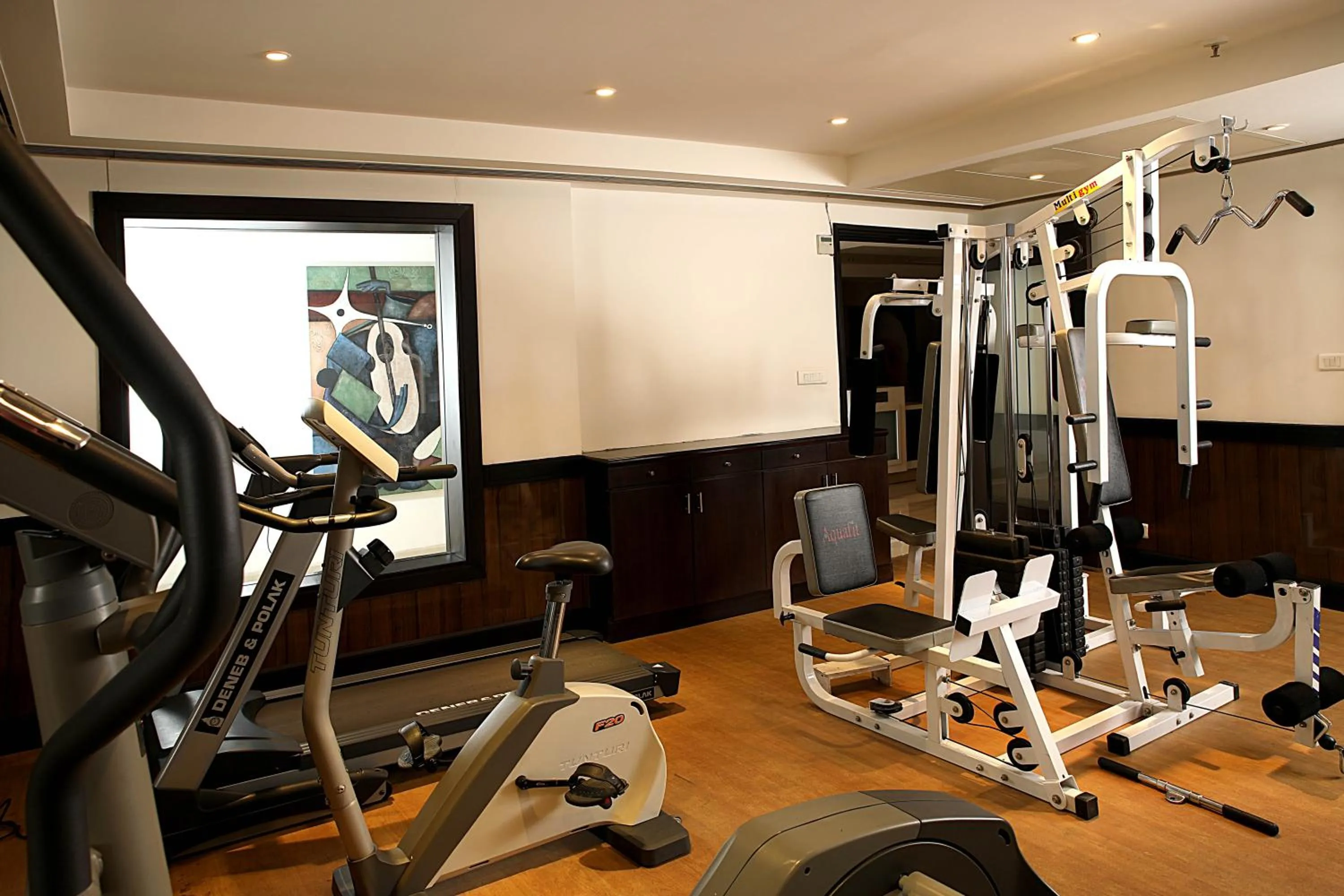 Fitness centre/facilities in Inde Hotel Vista Woods Huda City Centre, Gurgaon