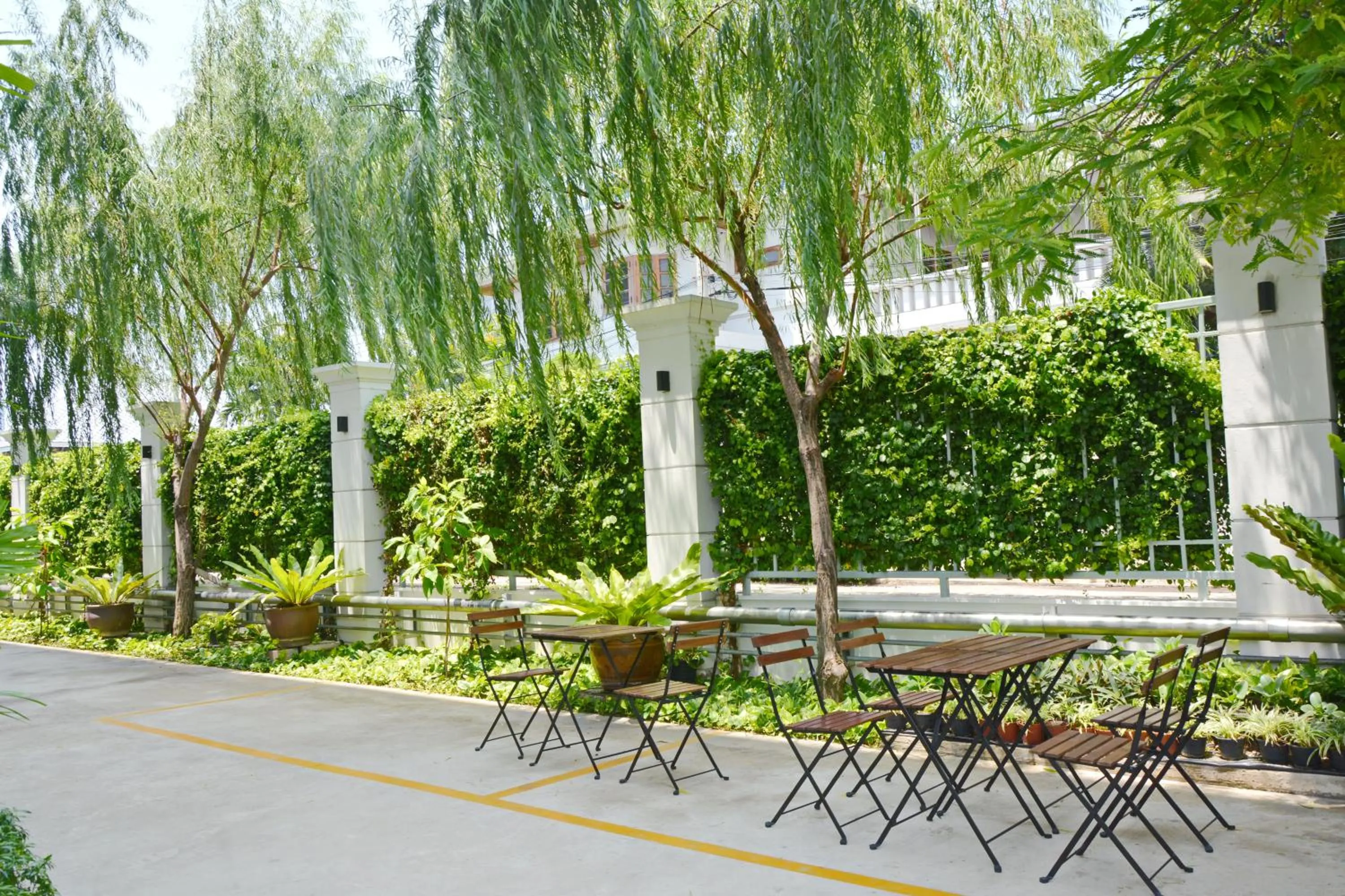 Summer in Siam Tharadol