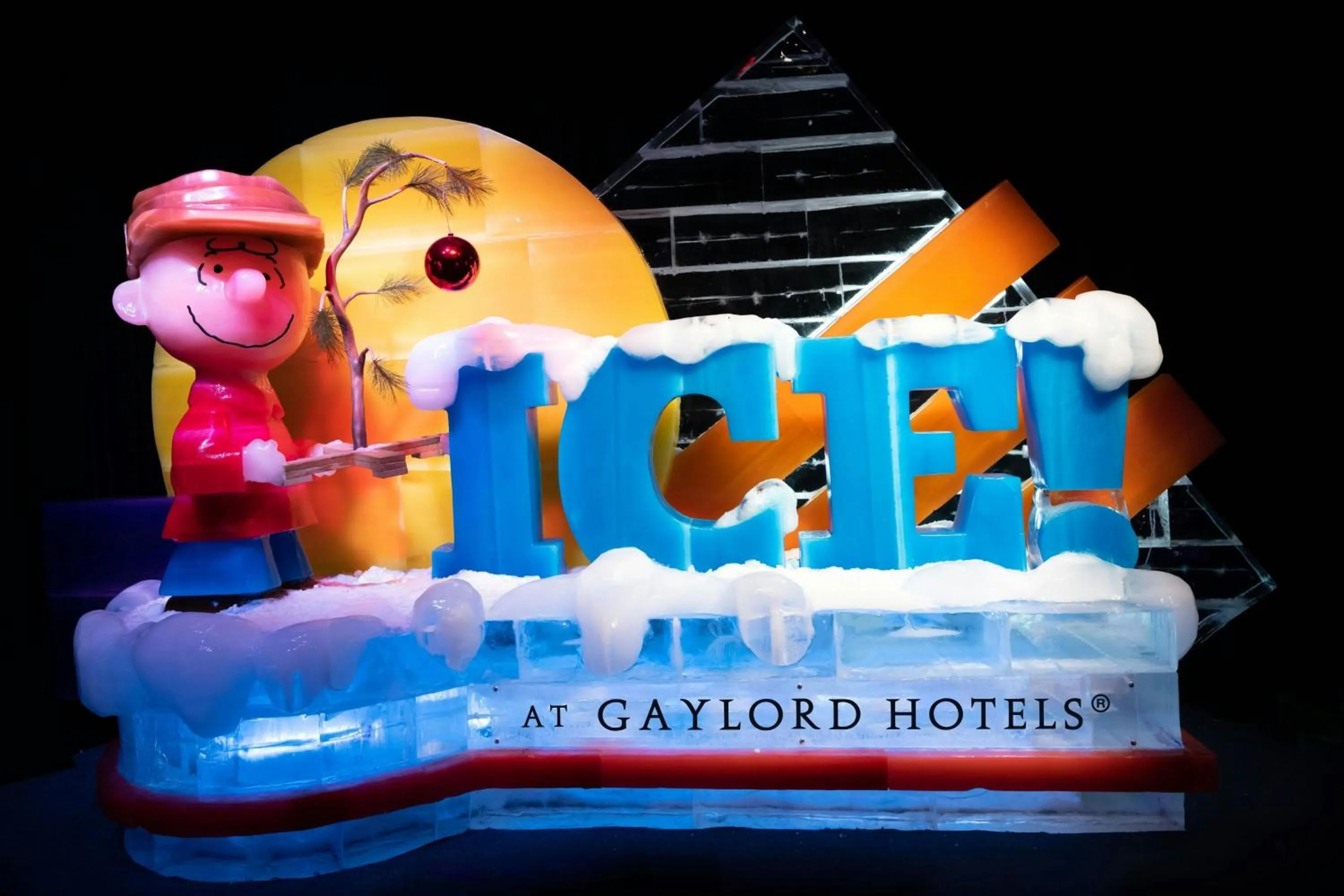 Other in Gaylord Texan Resort and Convention Center