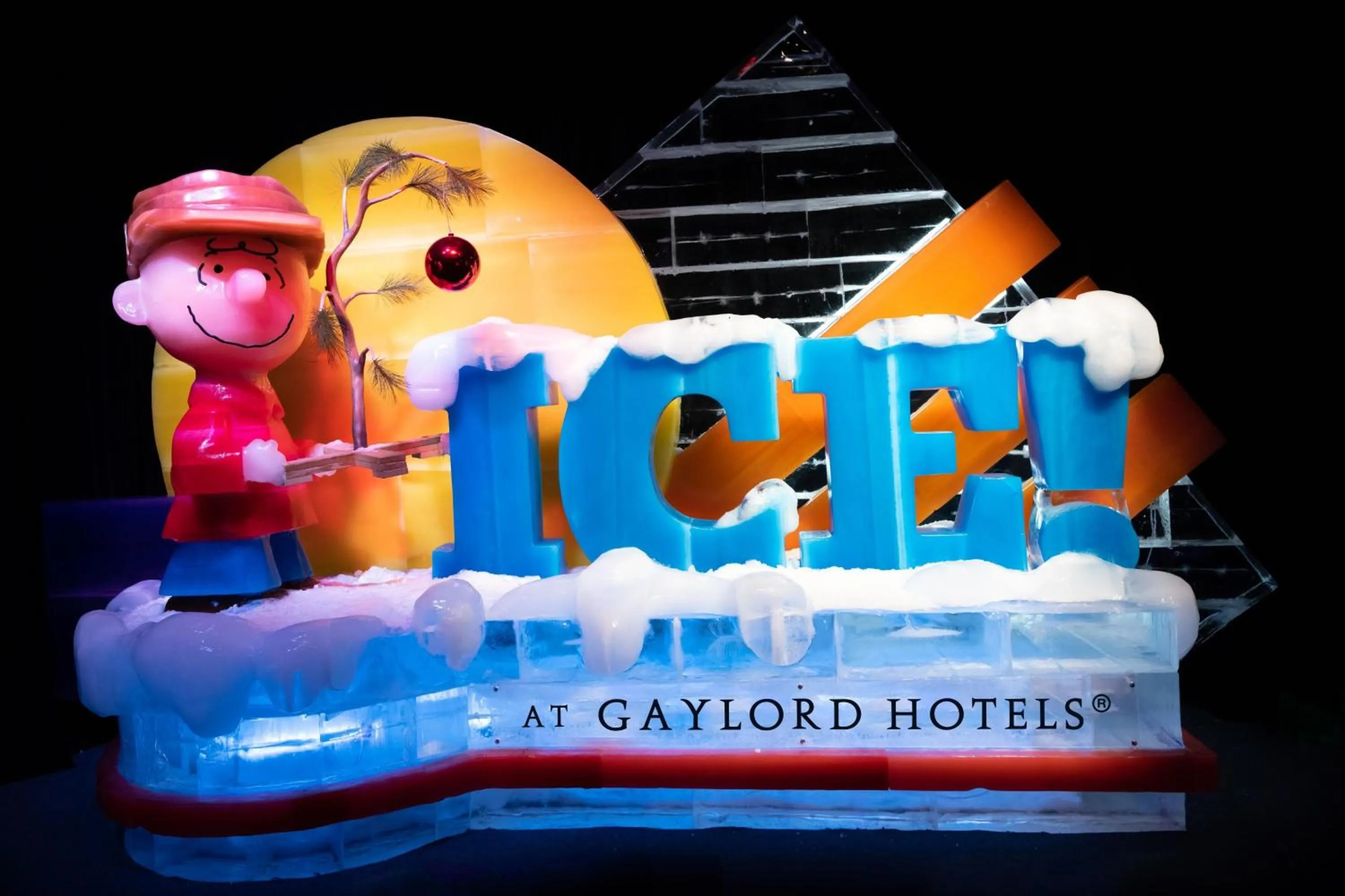 Other in Gaylord Texan Resort and Convention Center