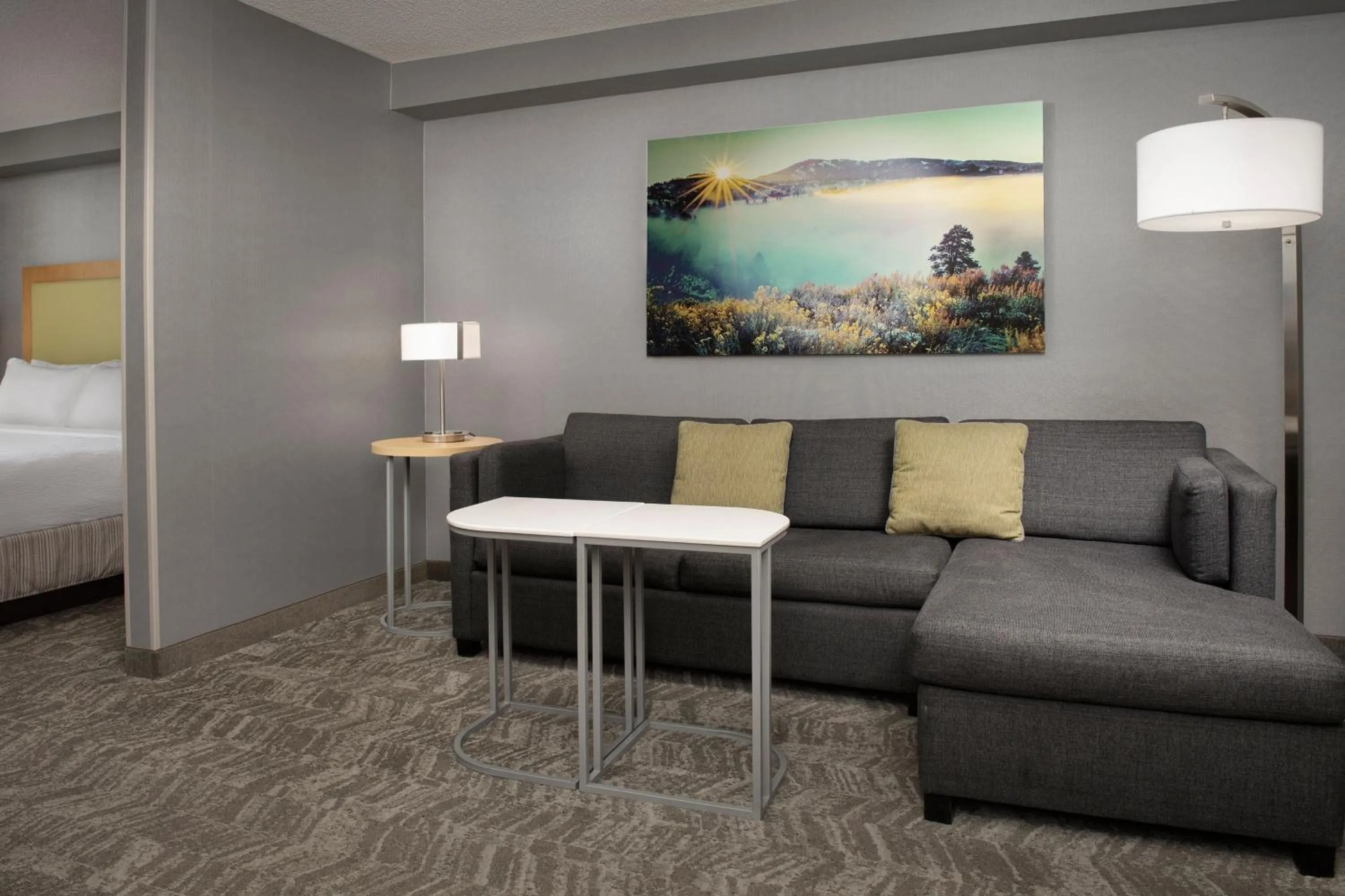 Living room, Bed in SpringHill Suites by Marriott Boise ParkCenter