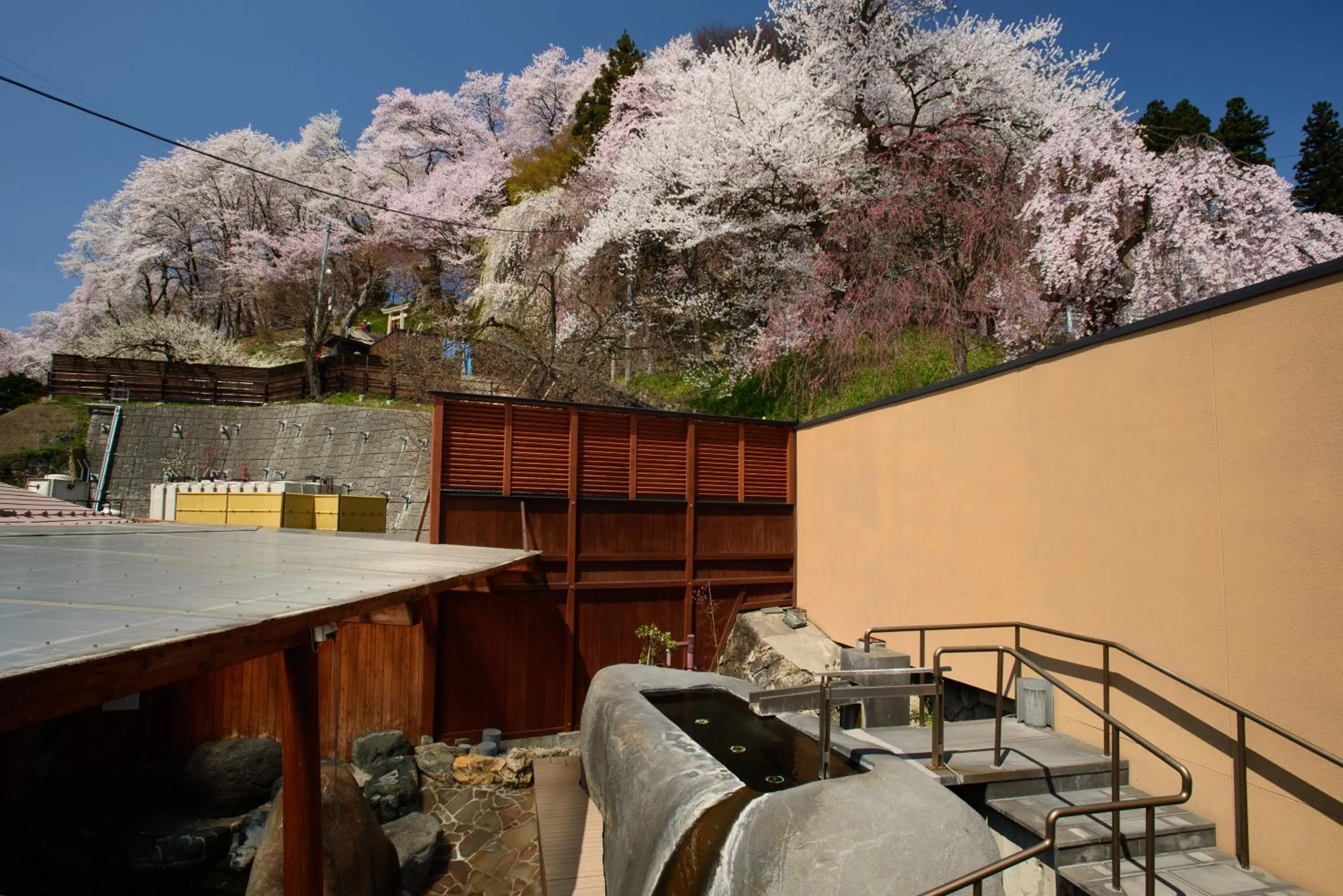 Spring in Uesugi no Miyu Gotenmori