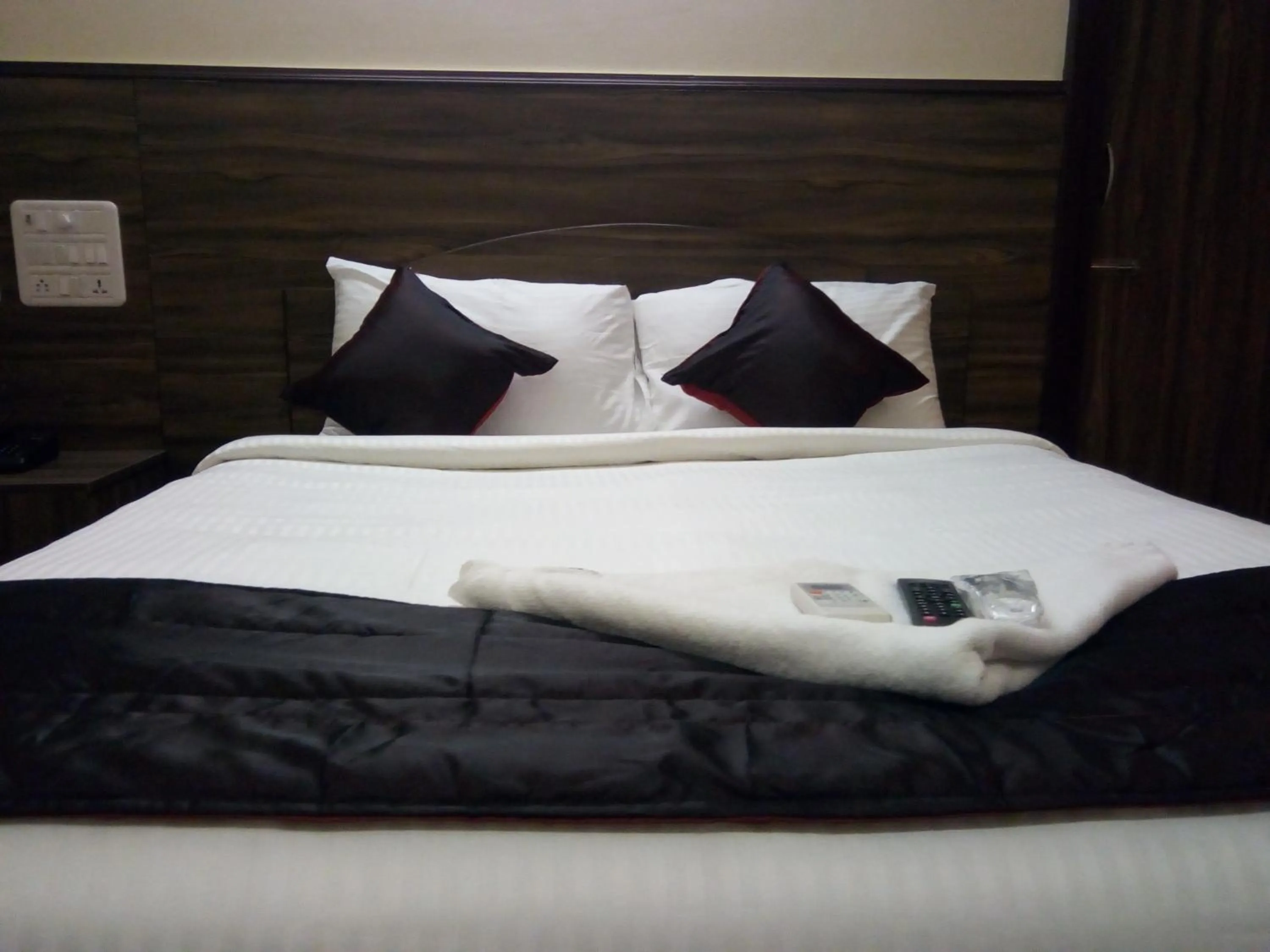 Living room, Bed in Season 4 Residences - Nungambakkam Near US consulate, Apollo Hospital, Shankar Nethralaya