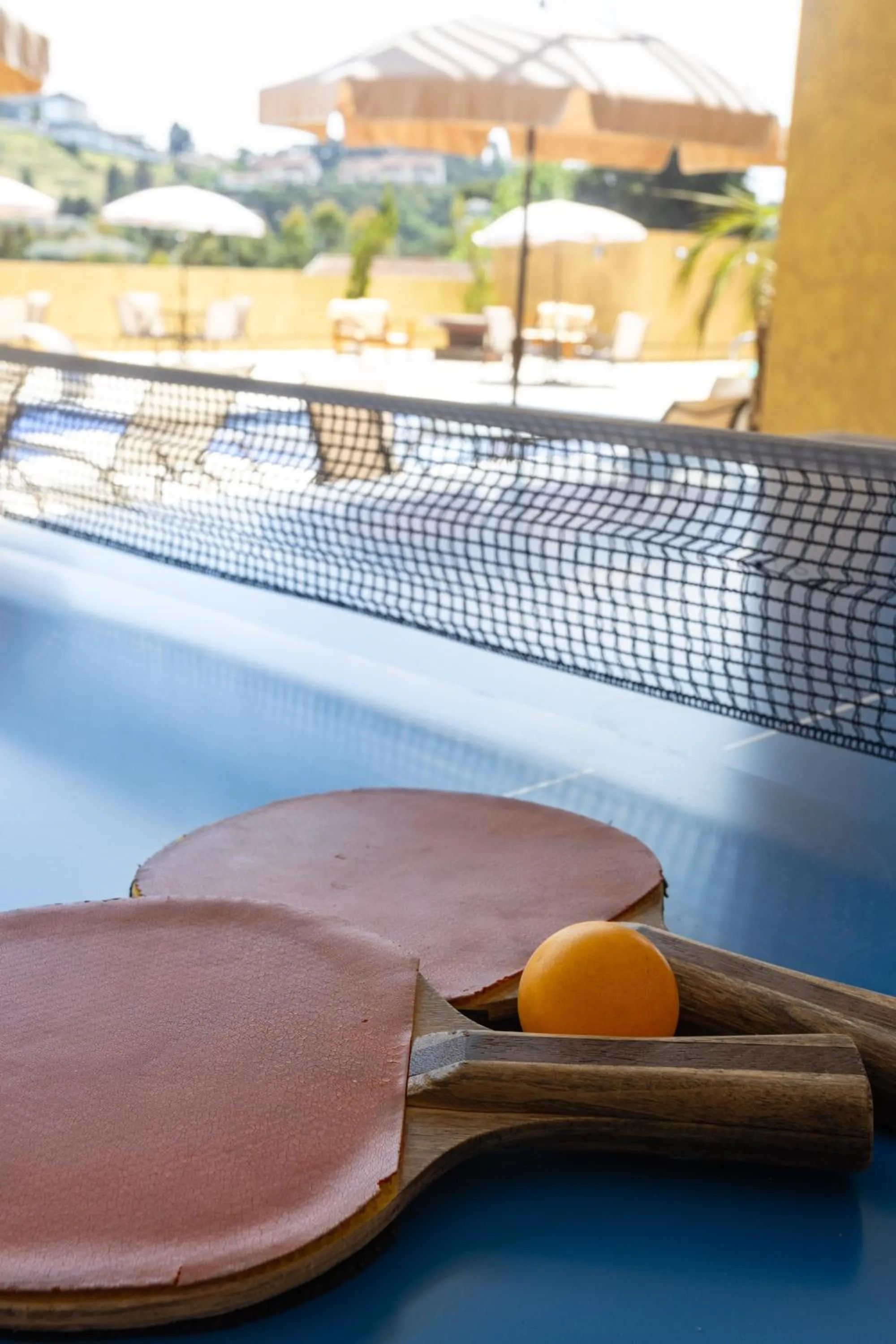 Game Room in Hotel Le Renard - Campos do Jordao