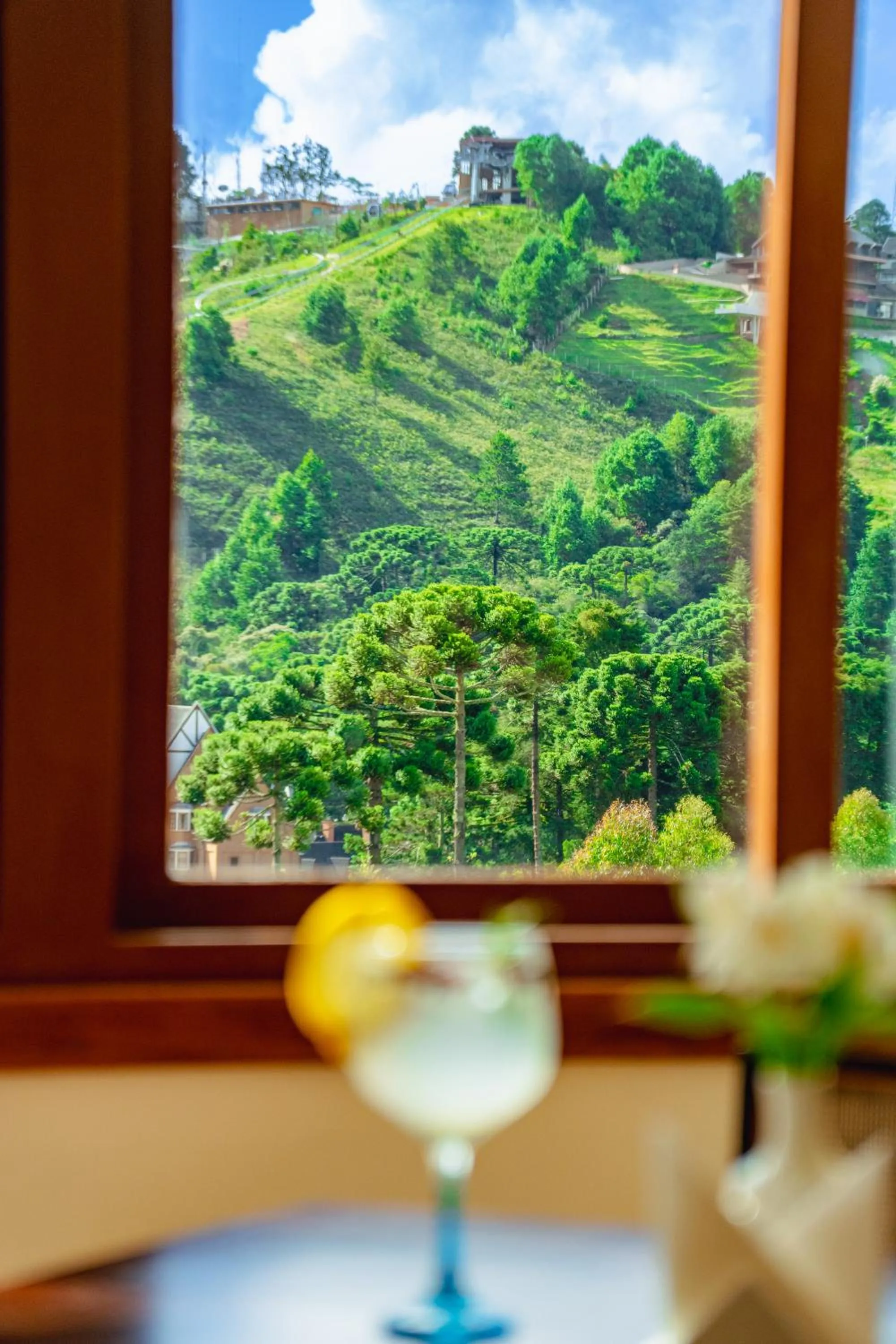 Natural landscape in Hotel Le Renard - Campos do Jordao