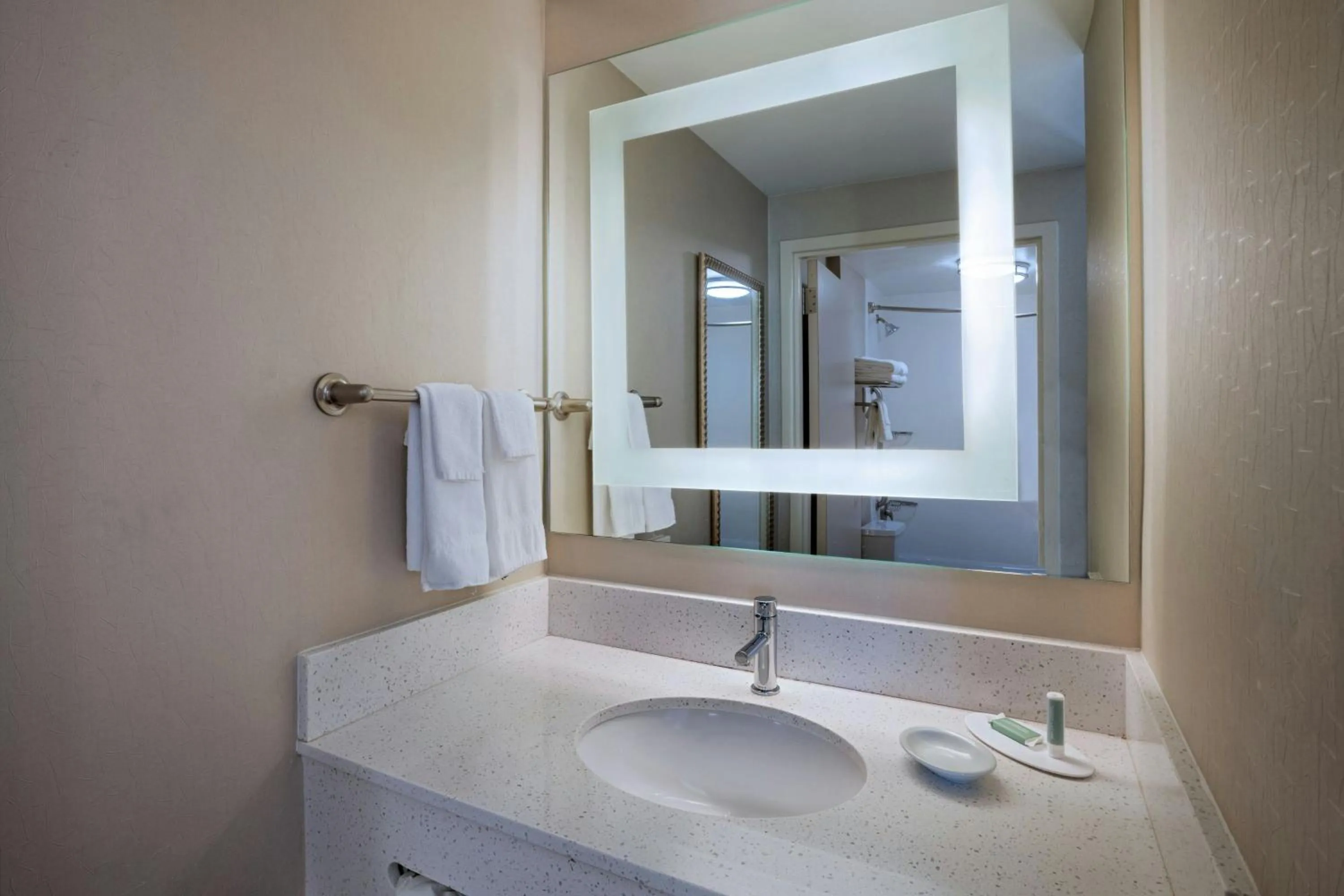 Bathroom in SpringHill Suites Boise West/Eagle