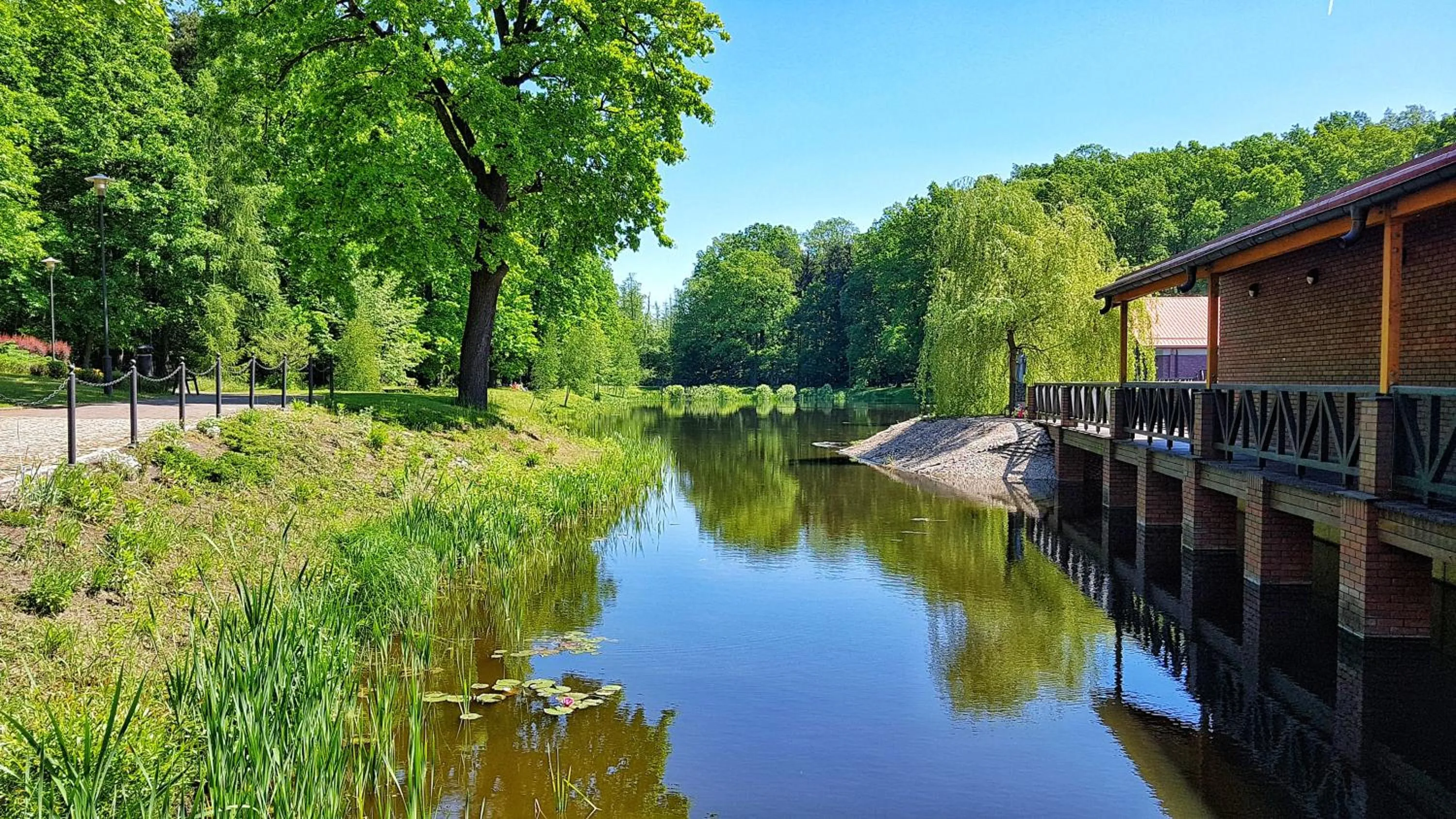 Natural landscape in Stacja Nowa Gdynia Bed & Breakfast Aquapark