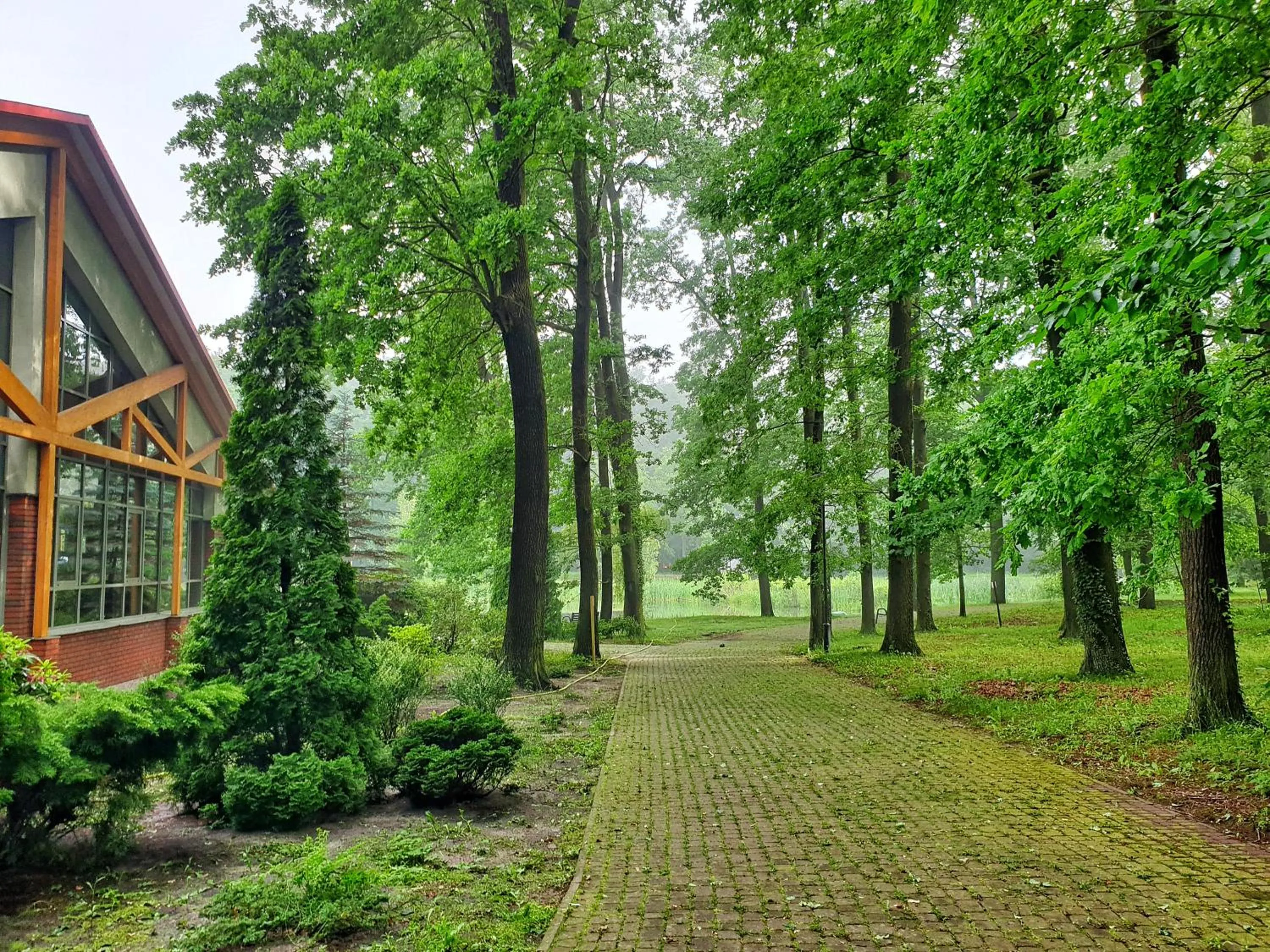 Garden in Stacja Nowa Gdynia Bed & Breakfast Aquapark