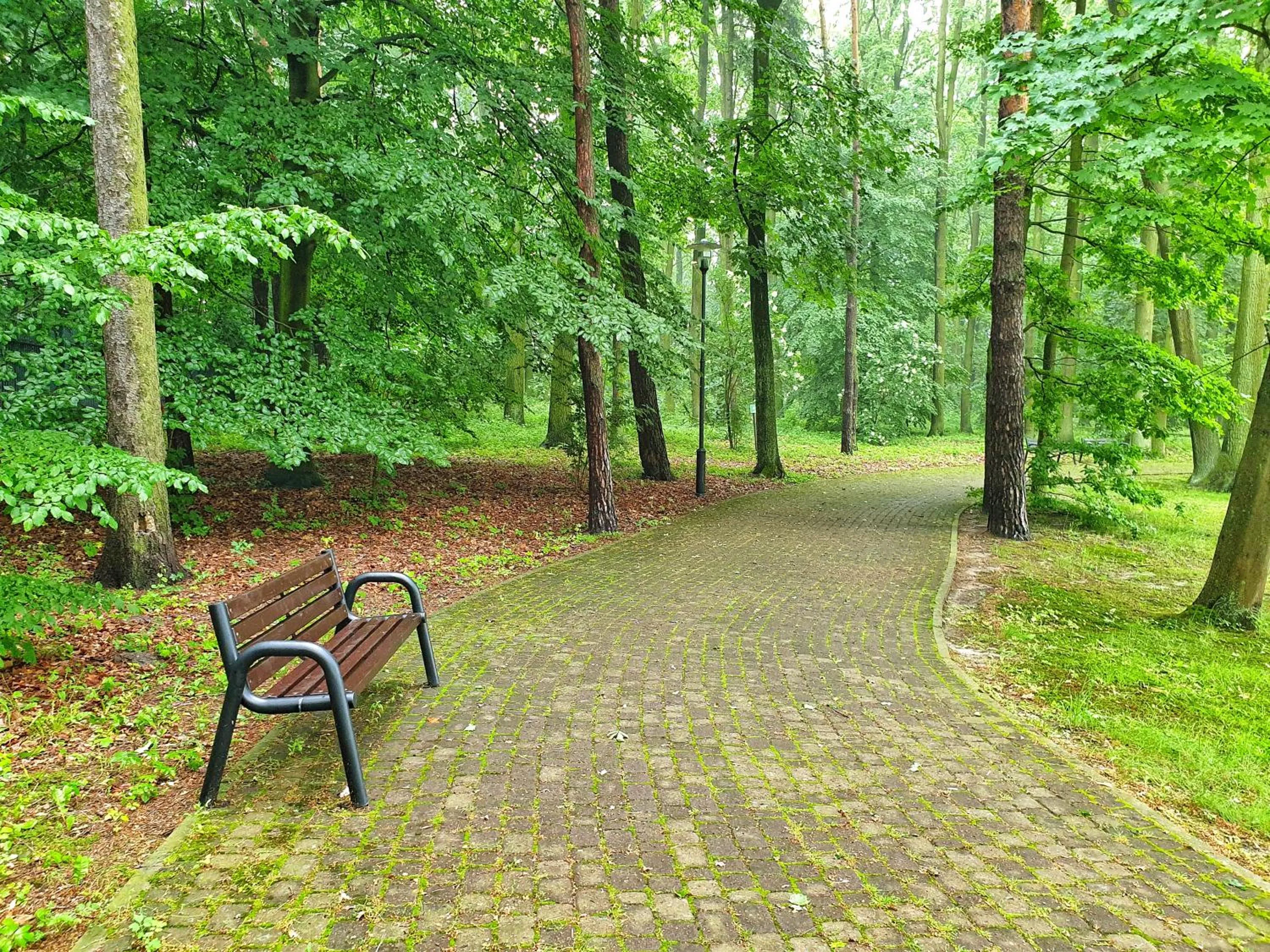 Garden in Stacja Nowa Gdynia Bed & Breakfast Aquapark