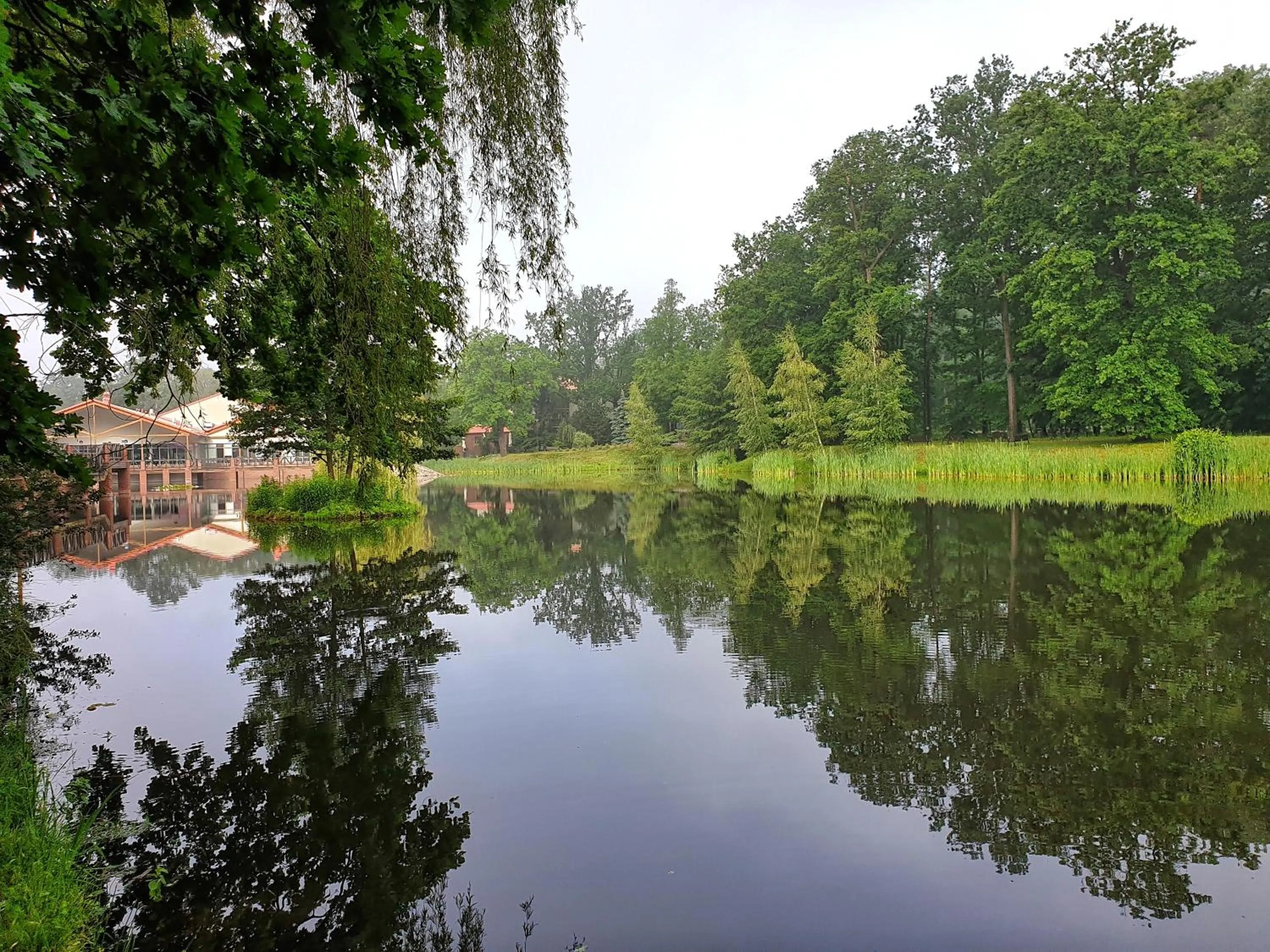 Natural landscape in Stacja Nowa Gdynia Bed & Breakfast Aquapark