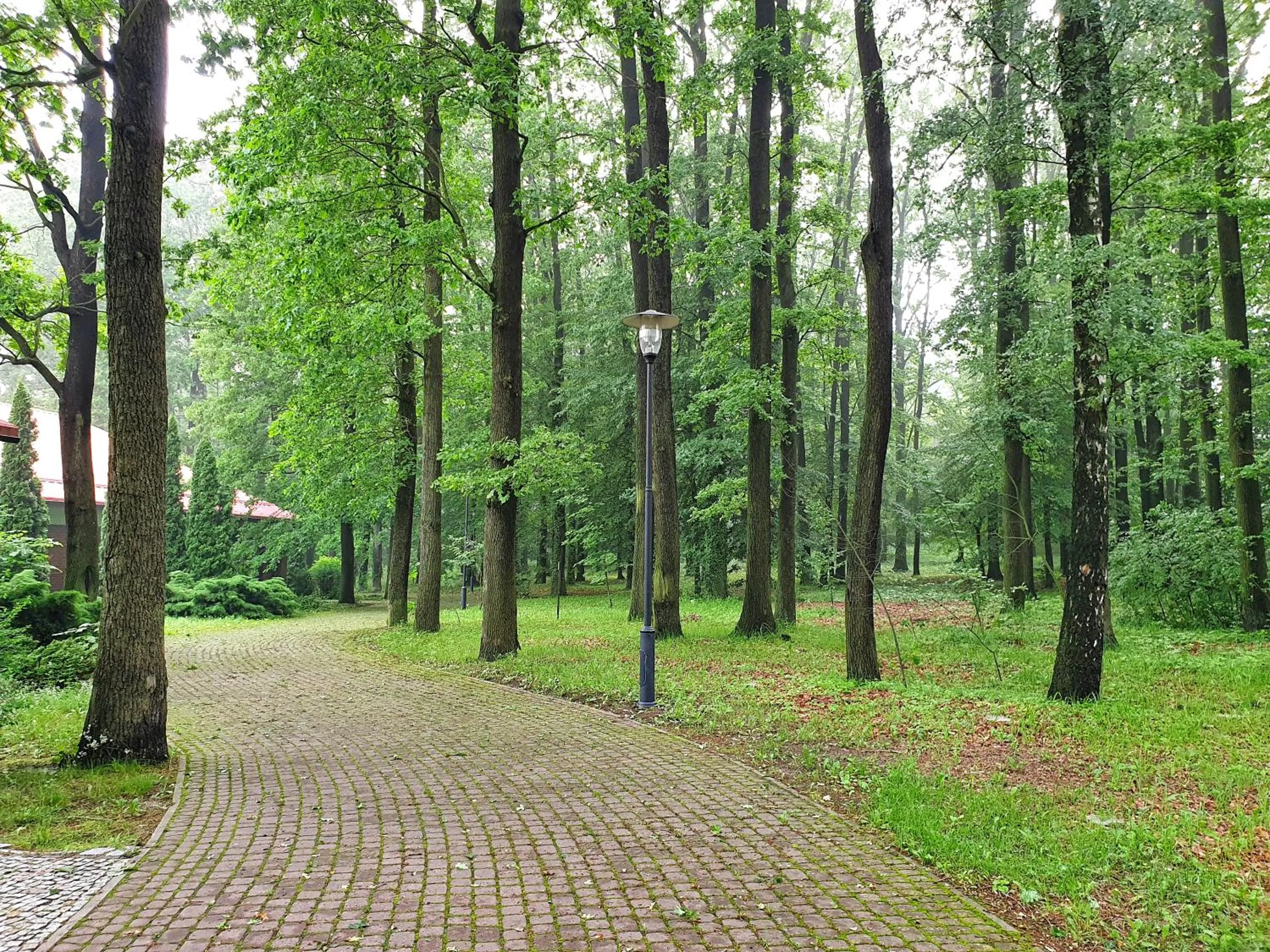 Garden in Stacja Nowa Gdynia Bed & Breakfast Aquapark