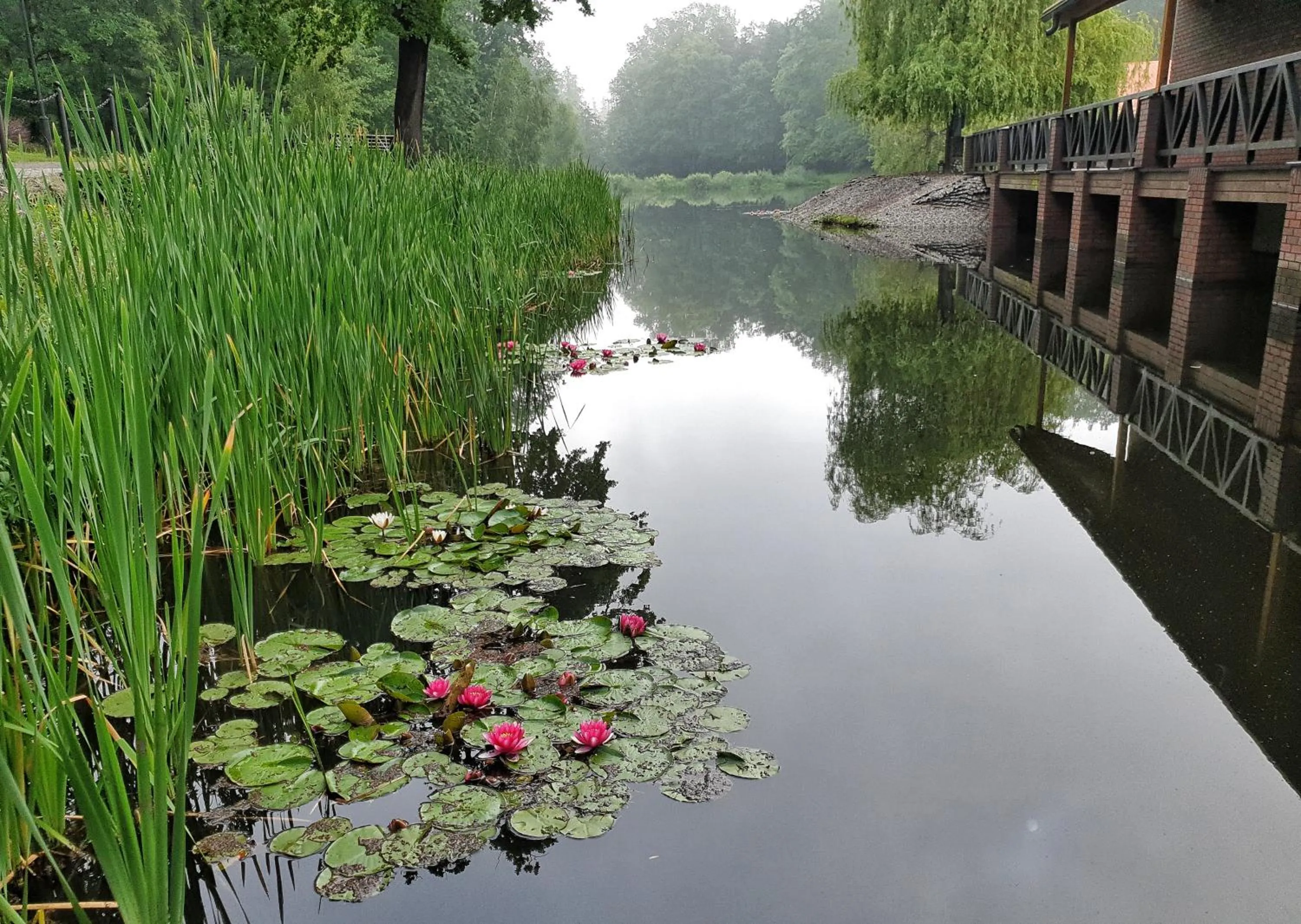 Natural landscape in Stacja Nowa Gdynia Bed & Breakfast Aquapark