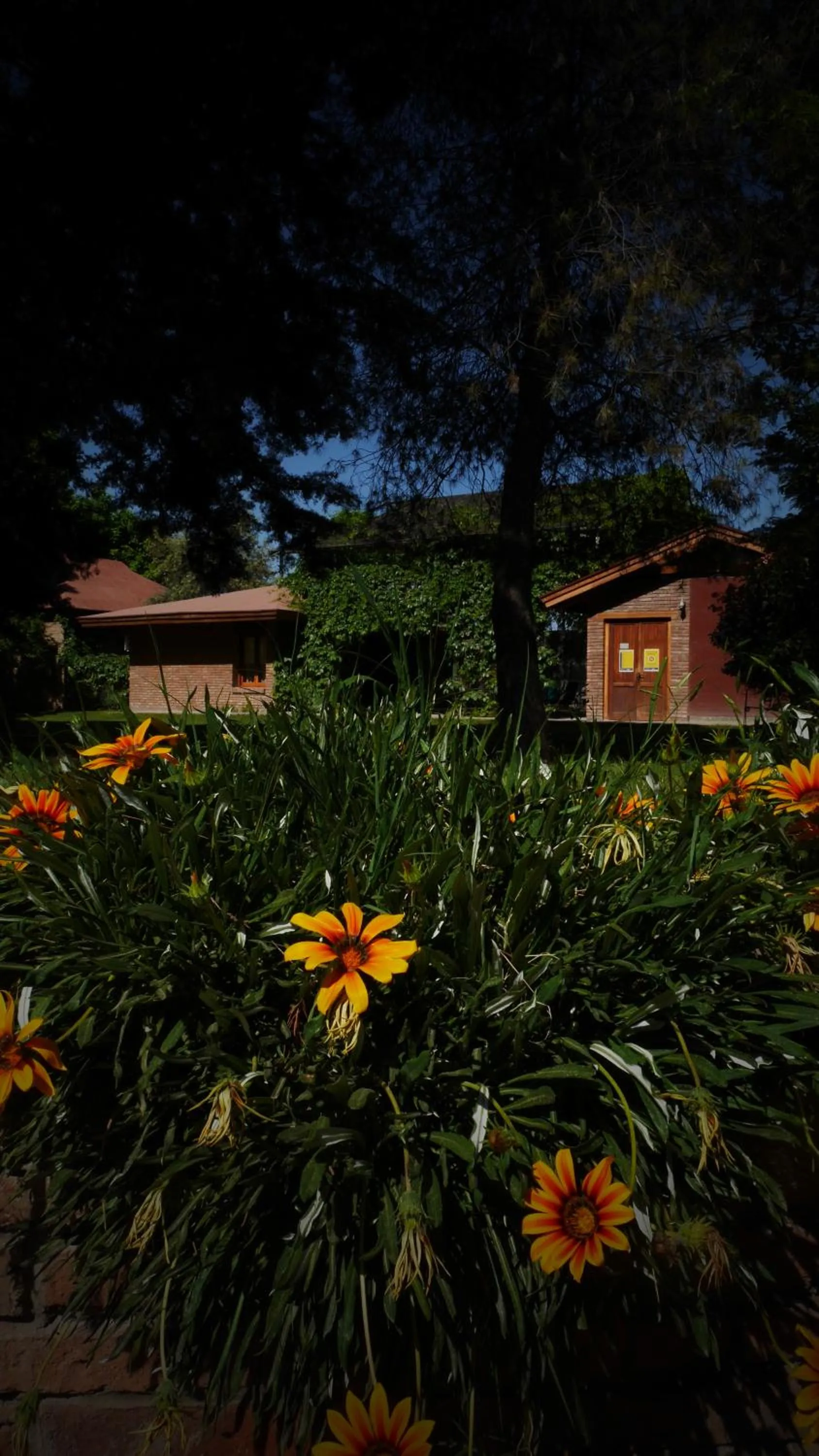 Garden in Lujan De Cuyo B&B