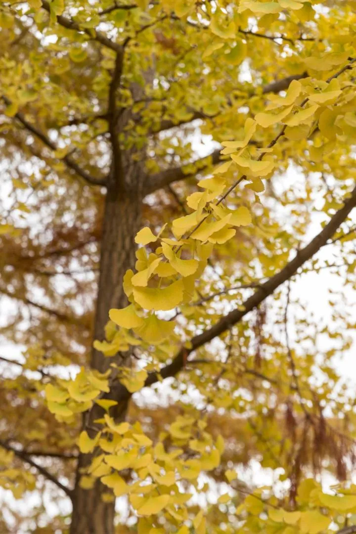 Off site in Lujan De Cuyo B&B