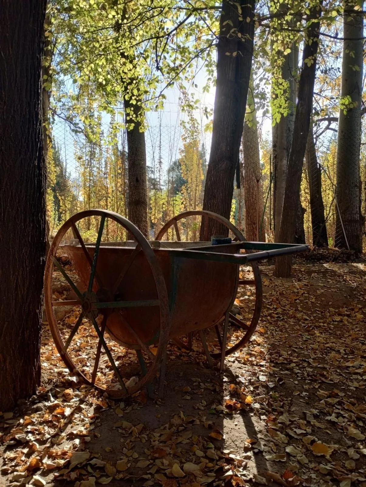Natural landscape in Lujan De Cuyo B&B