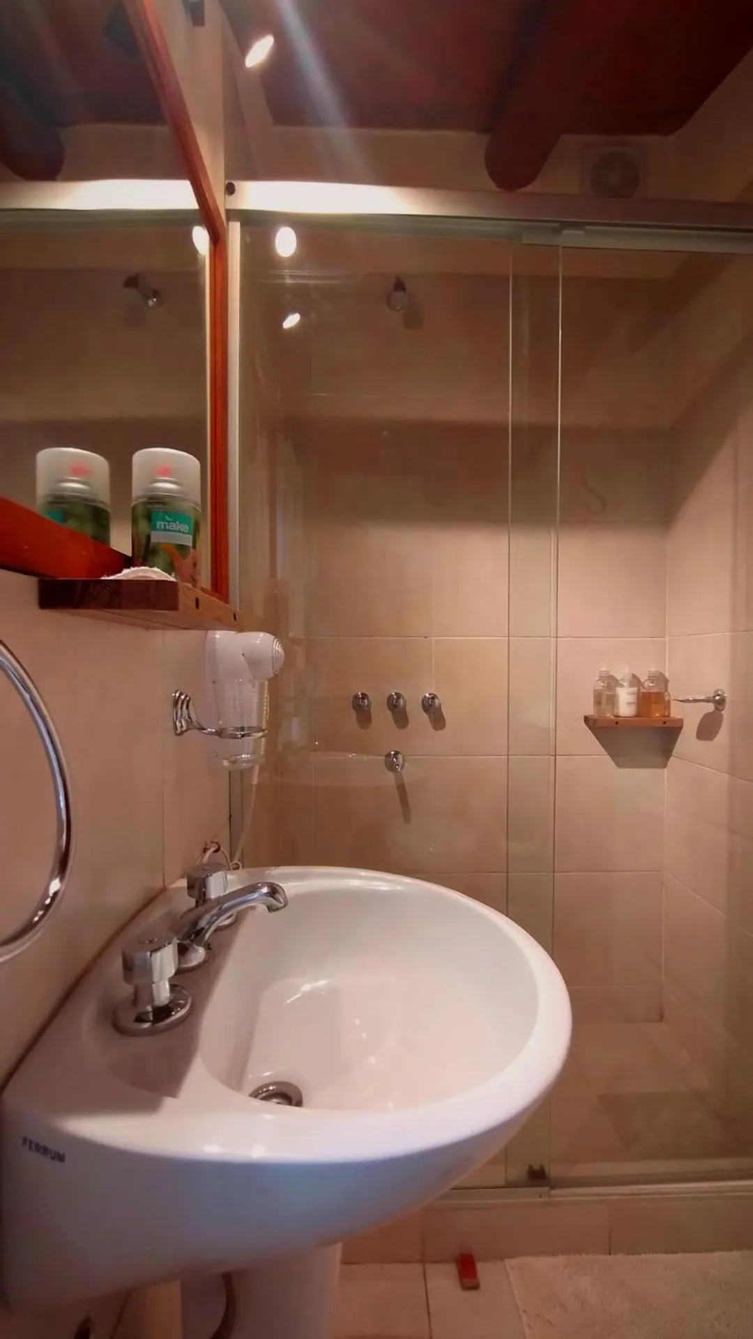 Bathroom in Lujan De Cuyo B&B