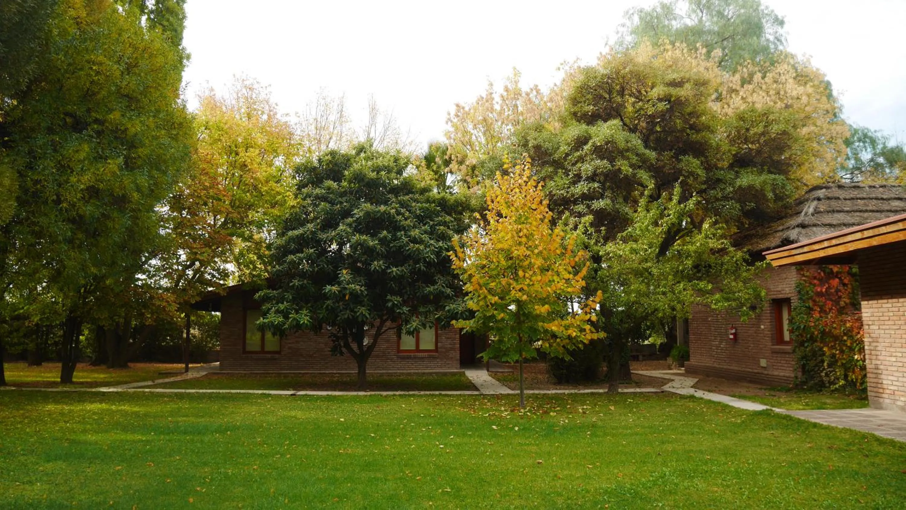 Garden in Lujan De Cuyo B&B