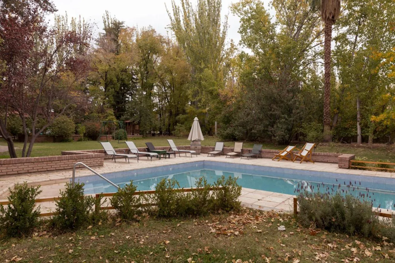 Natural landscape in Lujan De Cuyo B&B