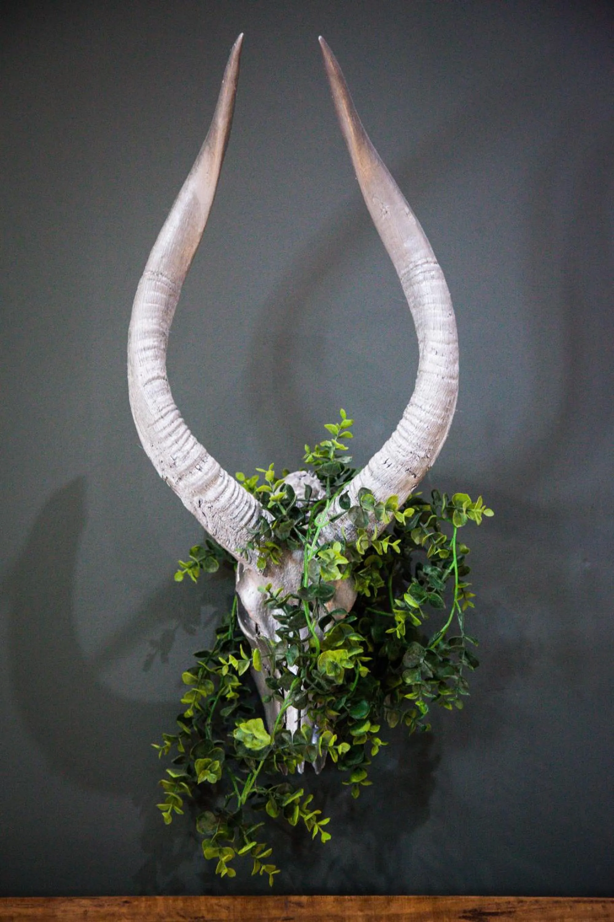 Decorative detail in De Akker Guest House Oudtshoorn