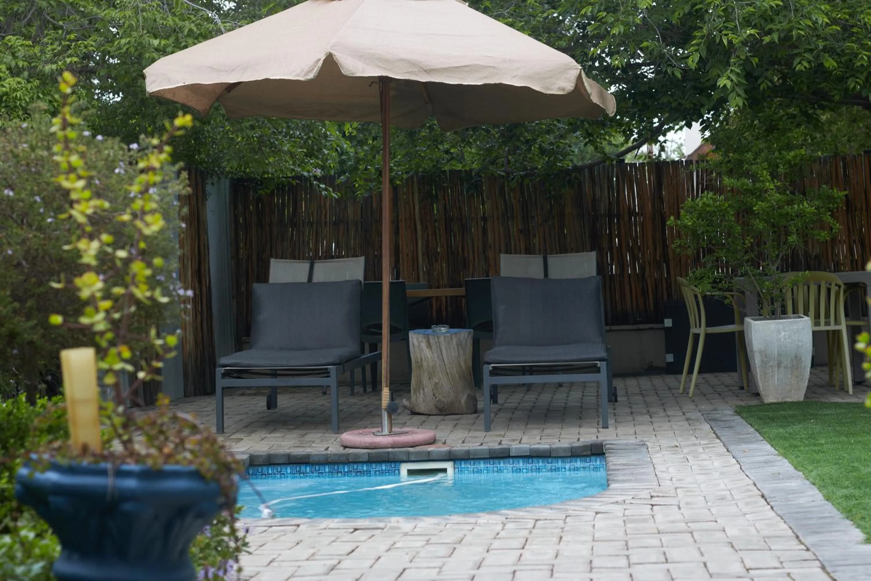 sunbed in De Akker Guest House Oudtshoorn