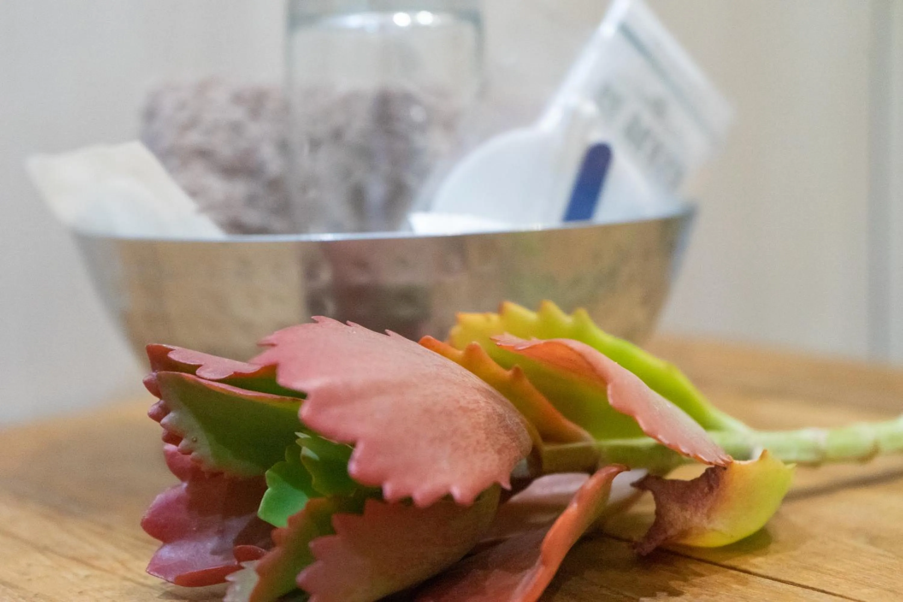 Bathroom in De Akker Guest House Oudtshoorn