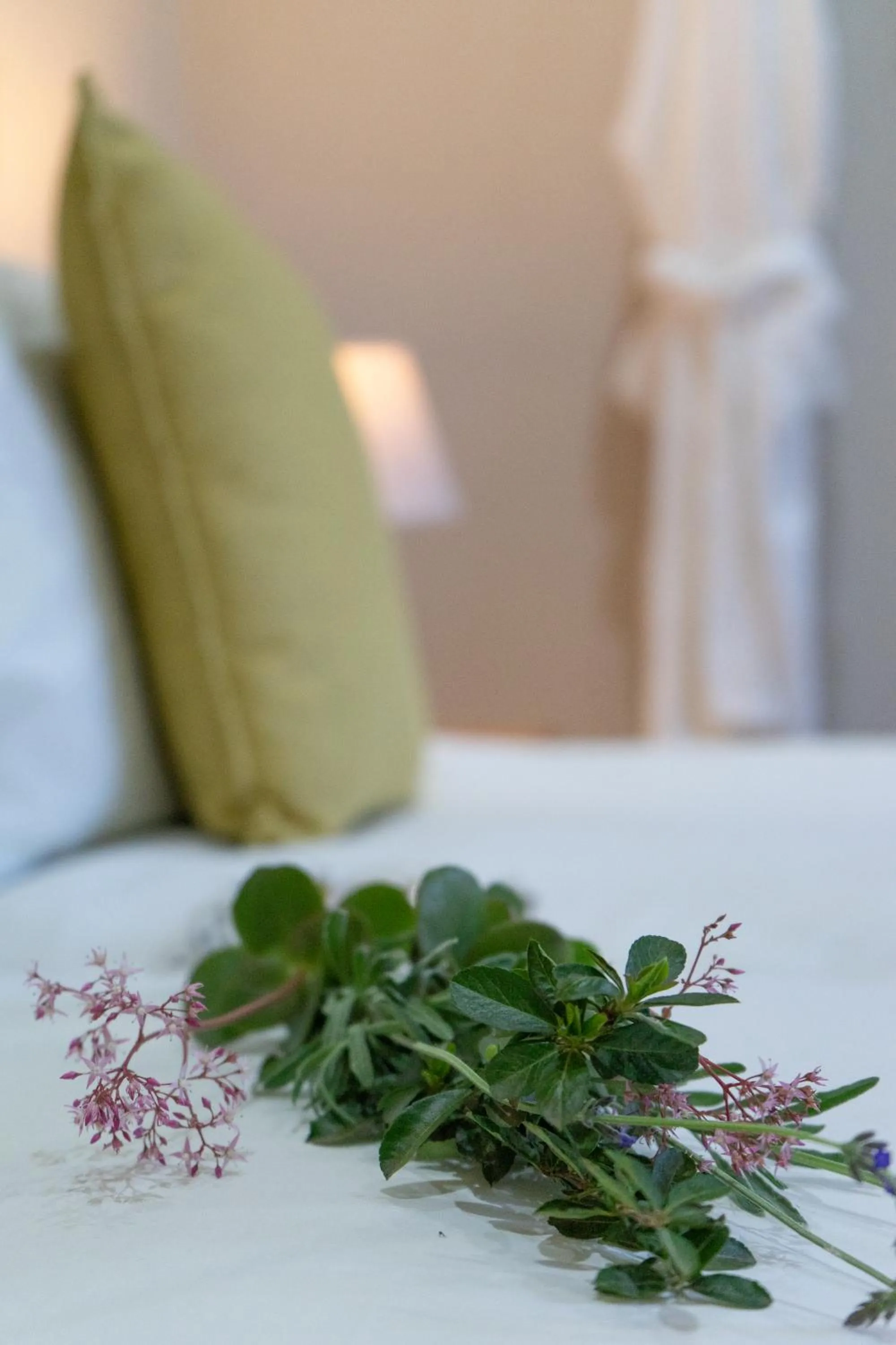 Decorative detail, Bed in De Akker Guest House Oudtshoorn