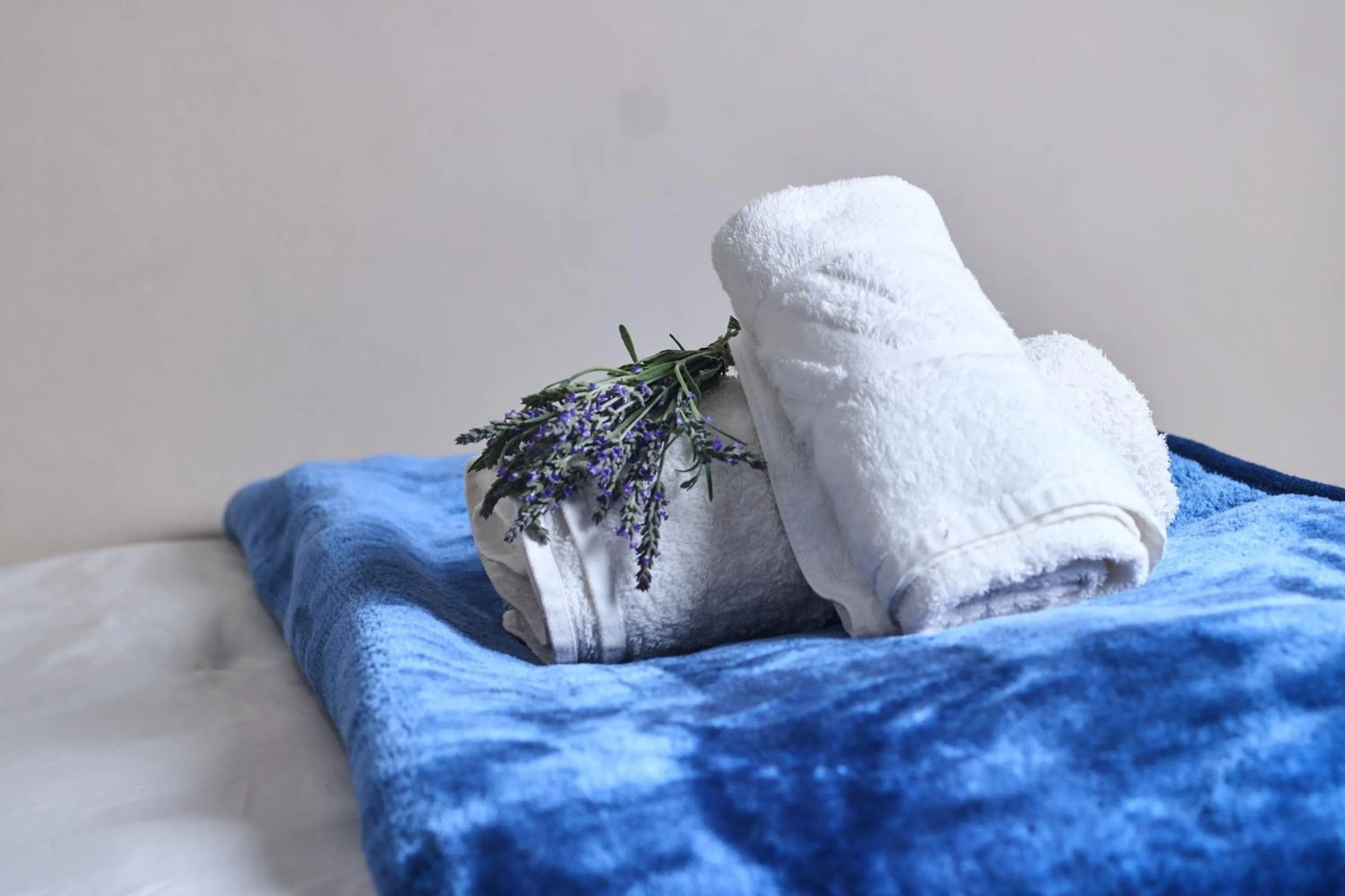 Decorative detail, Bed in De Akker Guest House Oudtshoorn